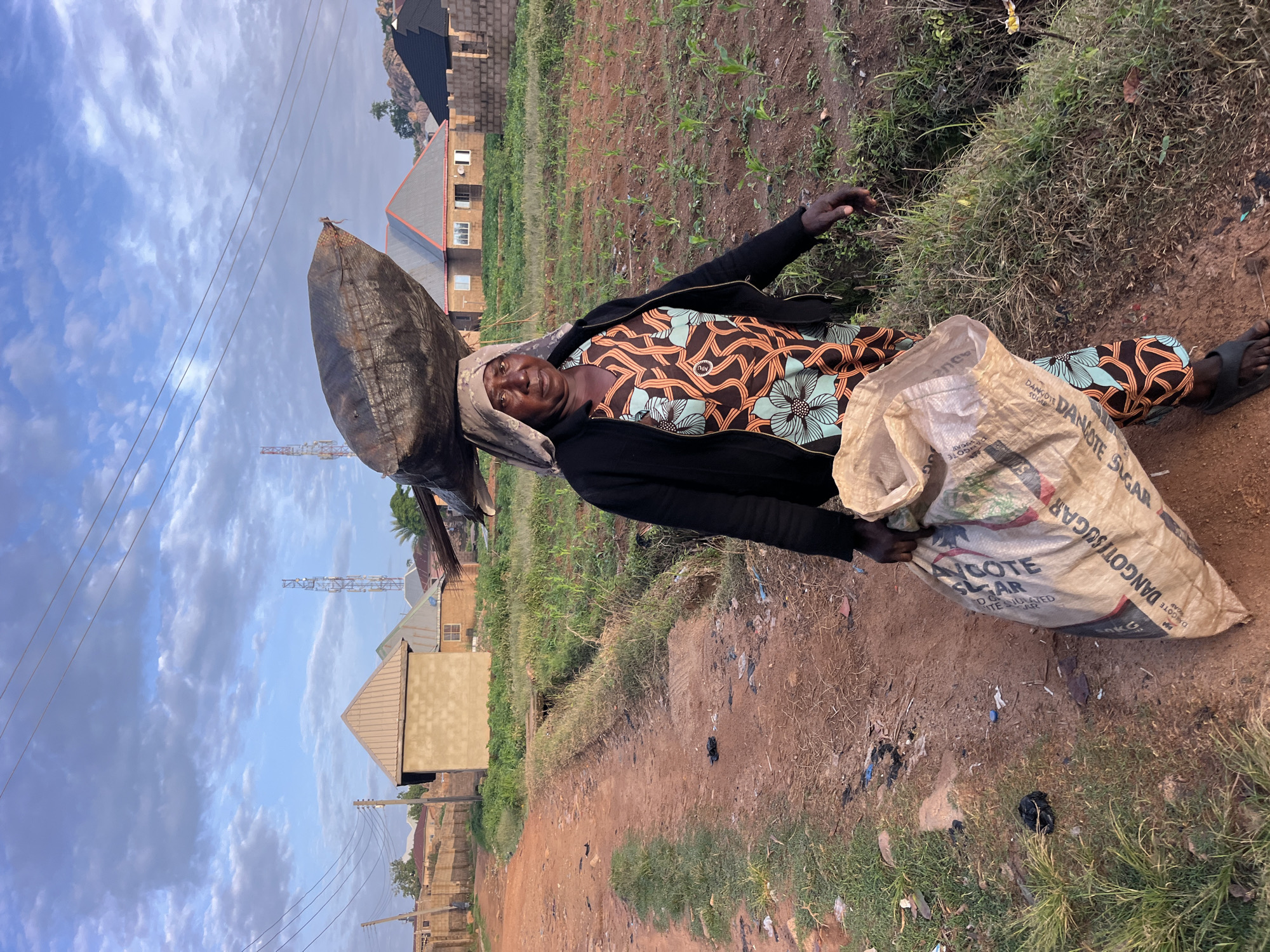 Street life, nature, and movement across an unidentified locale