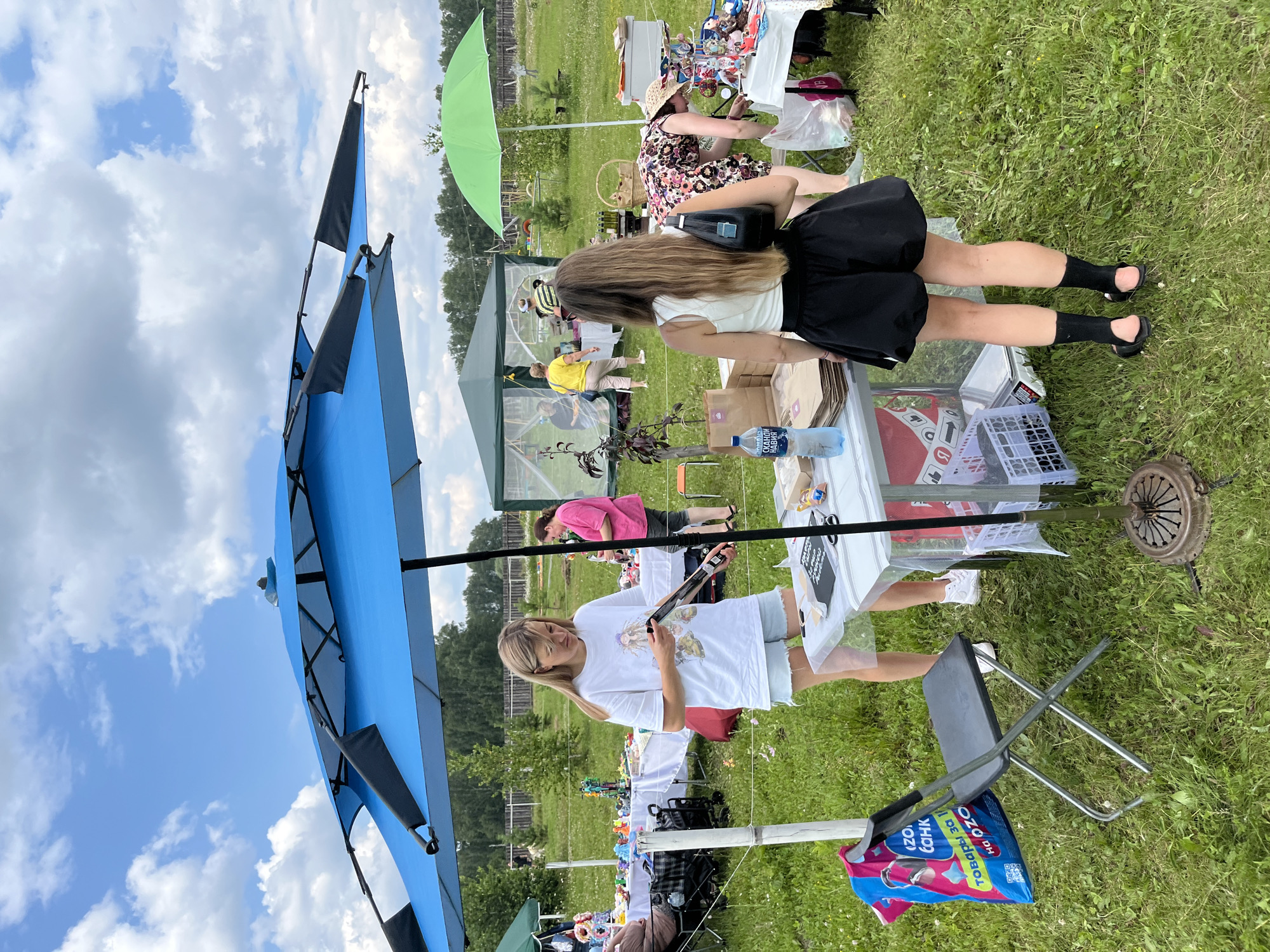Rural fair day: market stalls, wolf enclosure, and pond geese