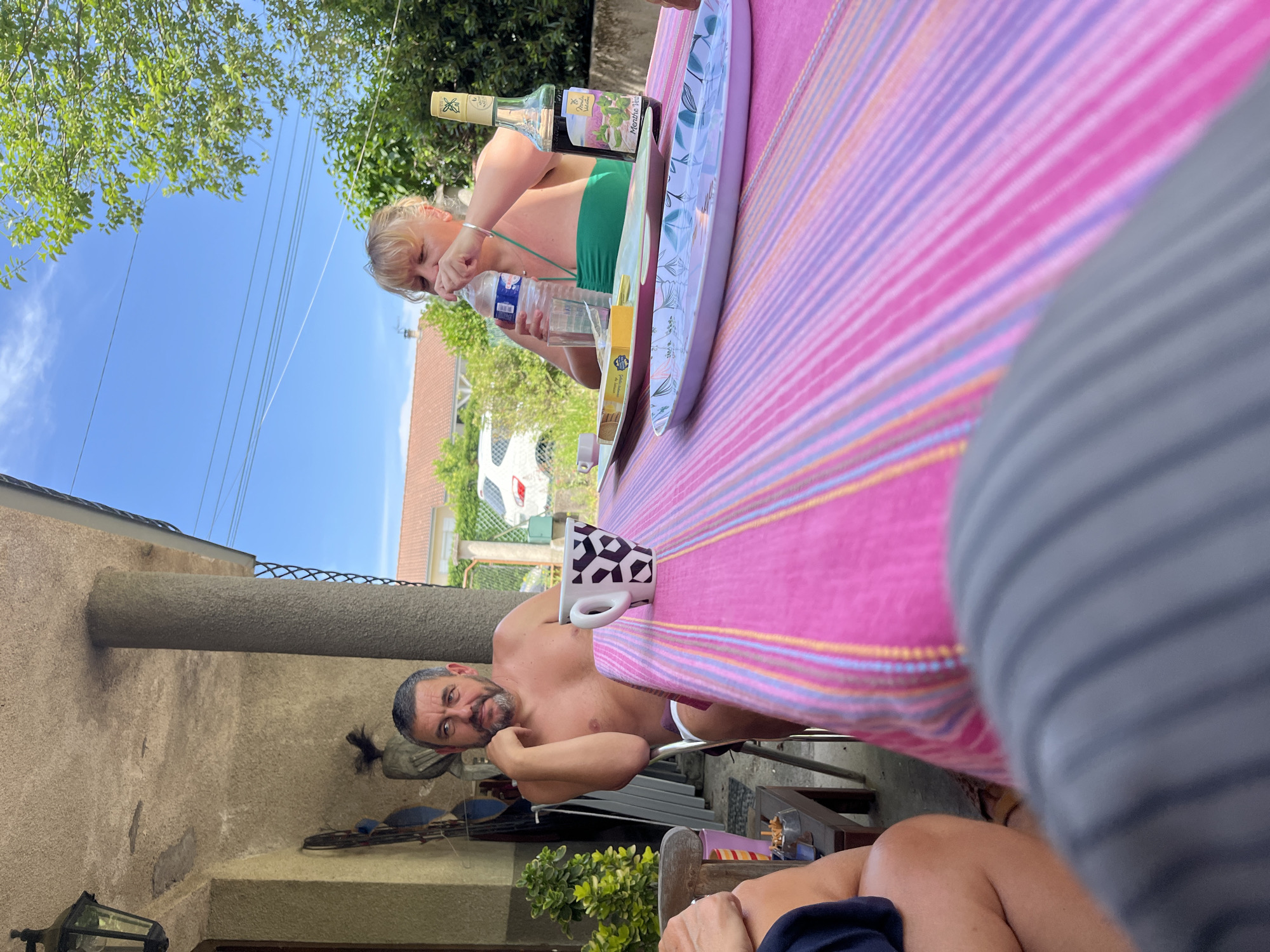 Casual outdoor lunch captured in French backyard