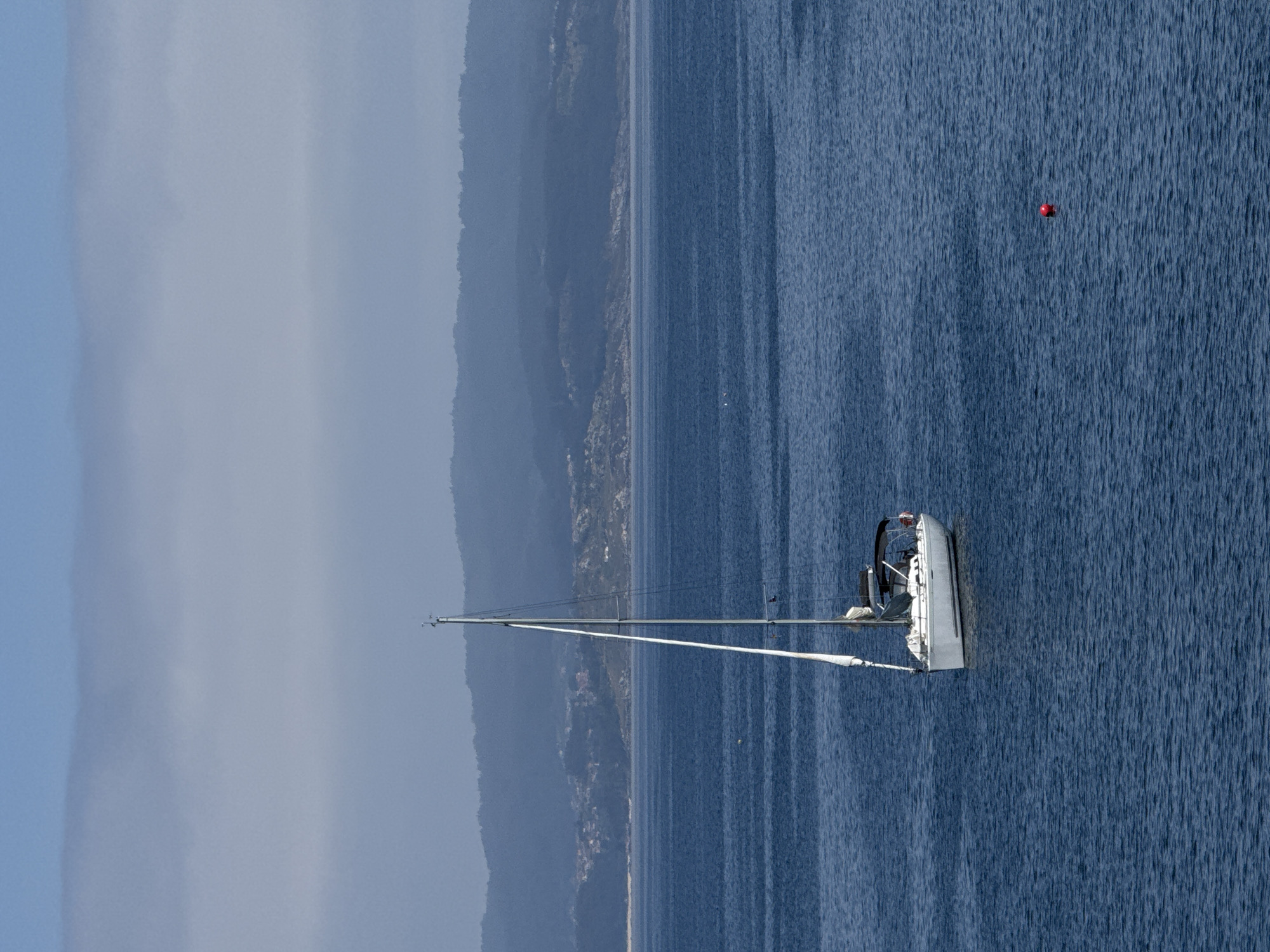 Sailboat anchored off Ons Island, lizard spotted ashore