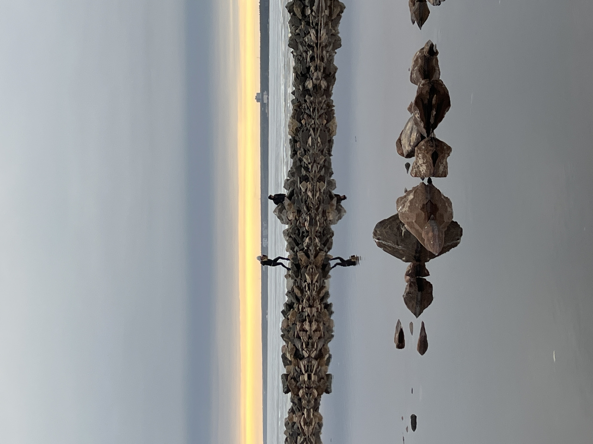Winter coastal scenes captured near Sestroretsk, Russia