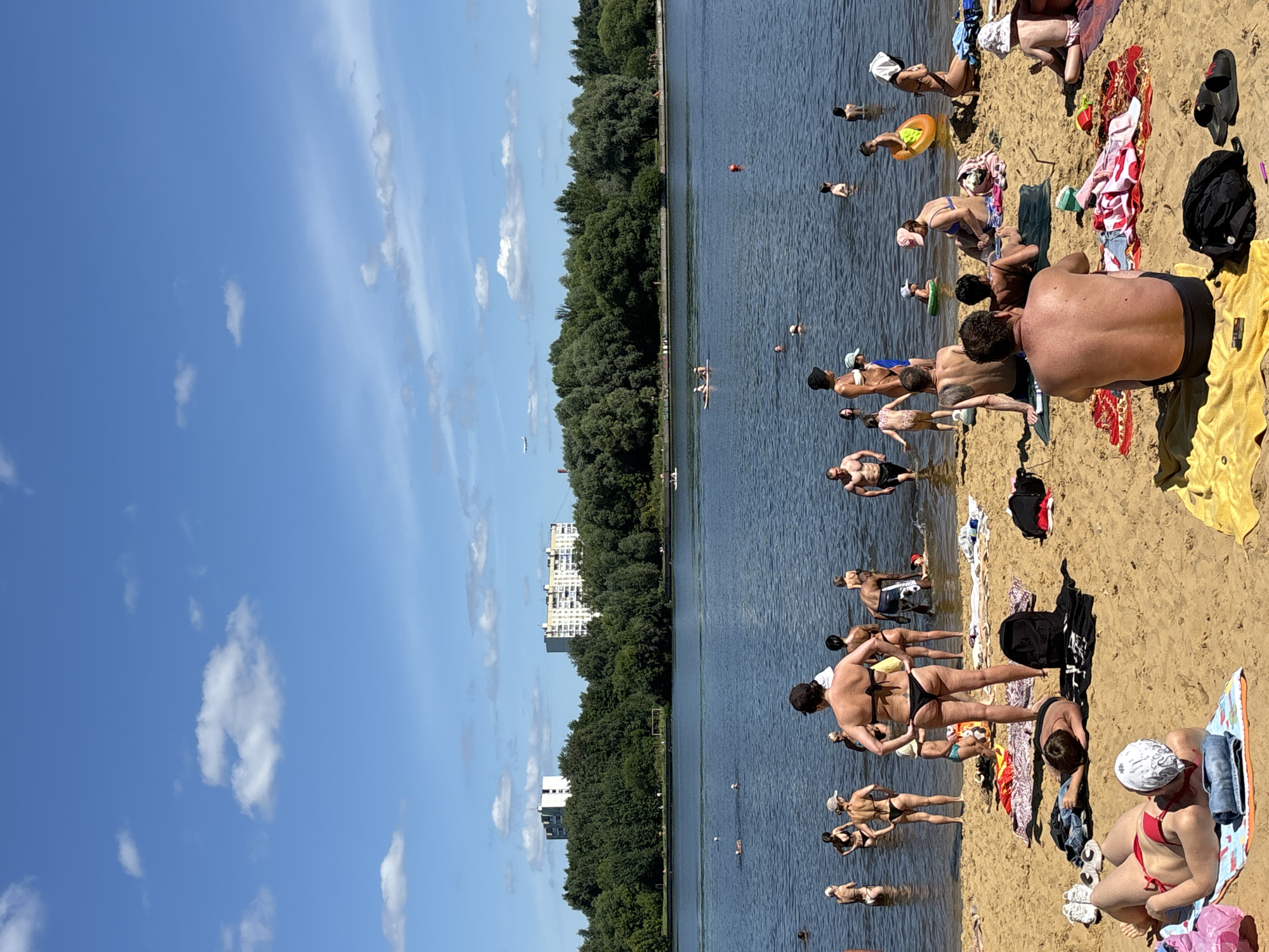 Summer beach day and blooming cosmos flowers in Dolgoprudny