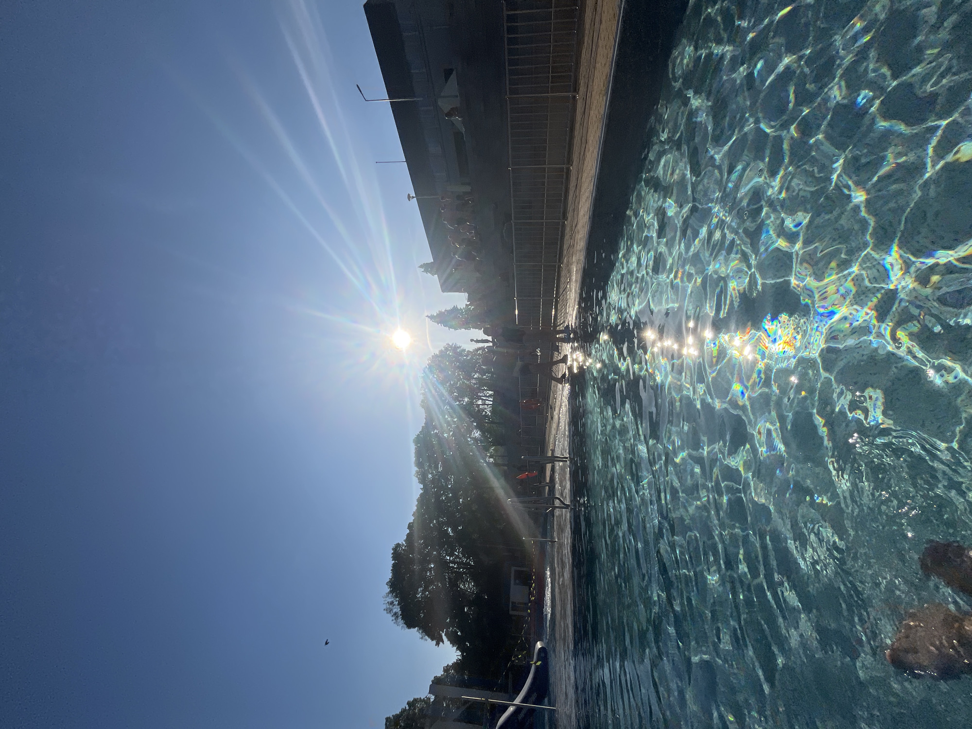 Afternoon swim session documented at public pool facility