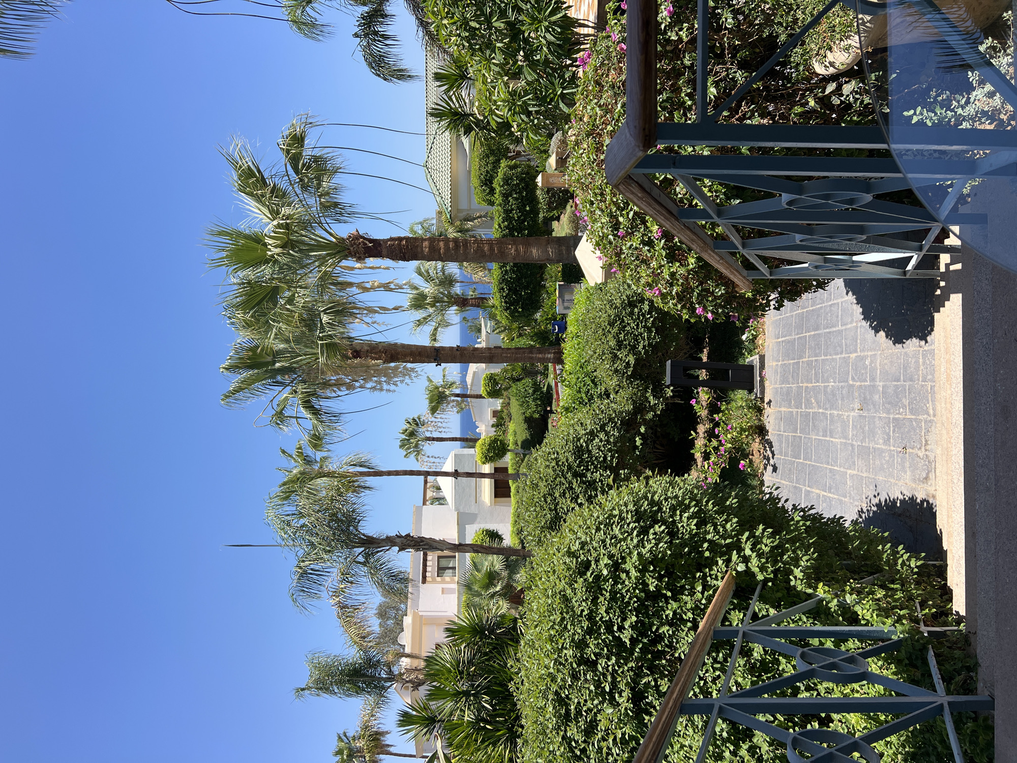 Lazy resort morning in Sharm El Sheikh, gardens and all