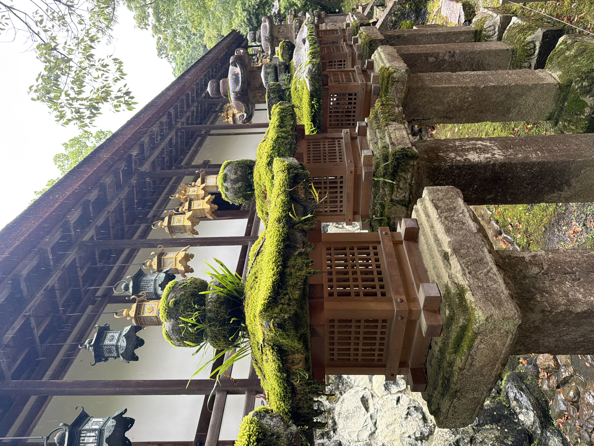 Rainy morning walk through Kasuga Taisha Shrine, Nara