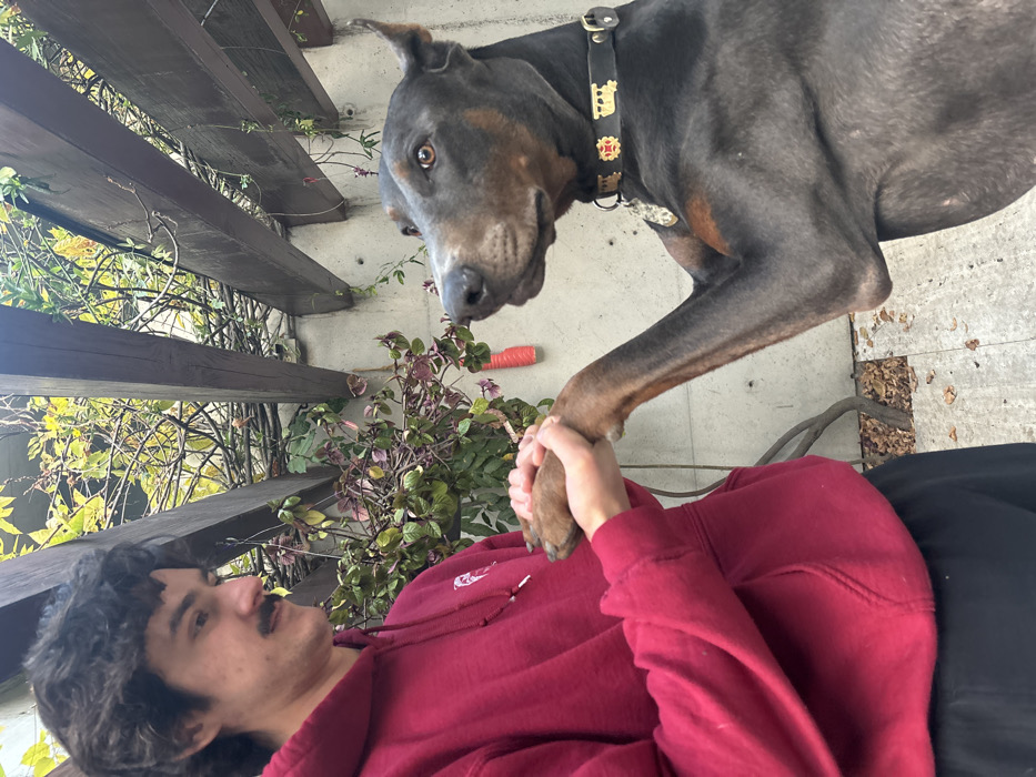 Man and dog interact near pergola in Naucalpan