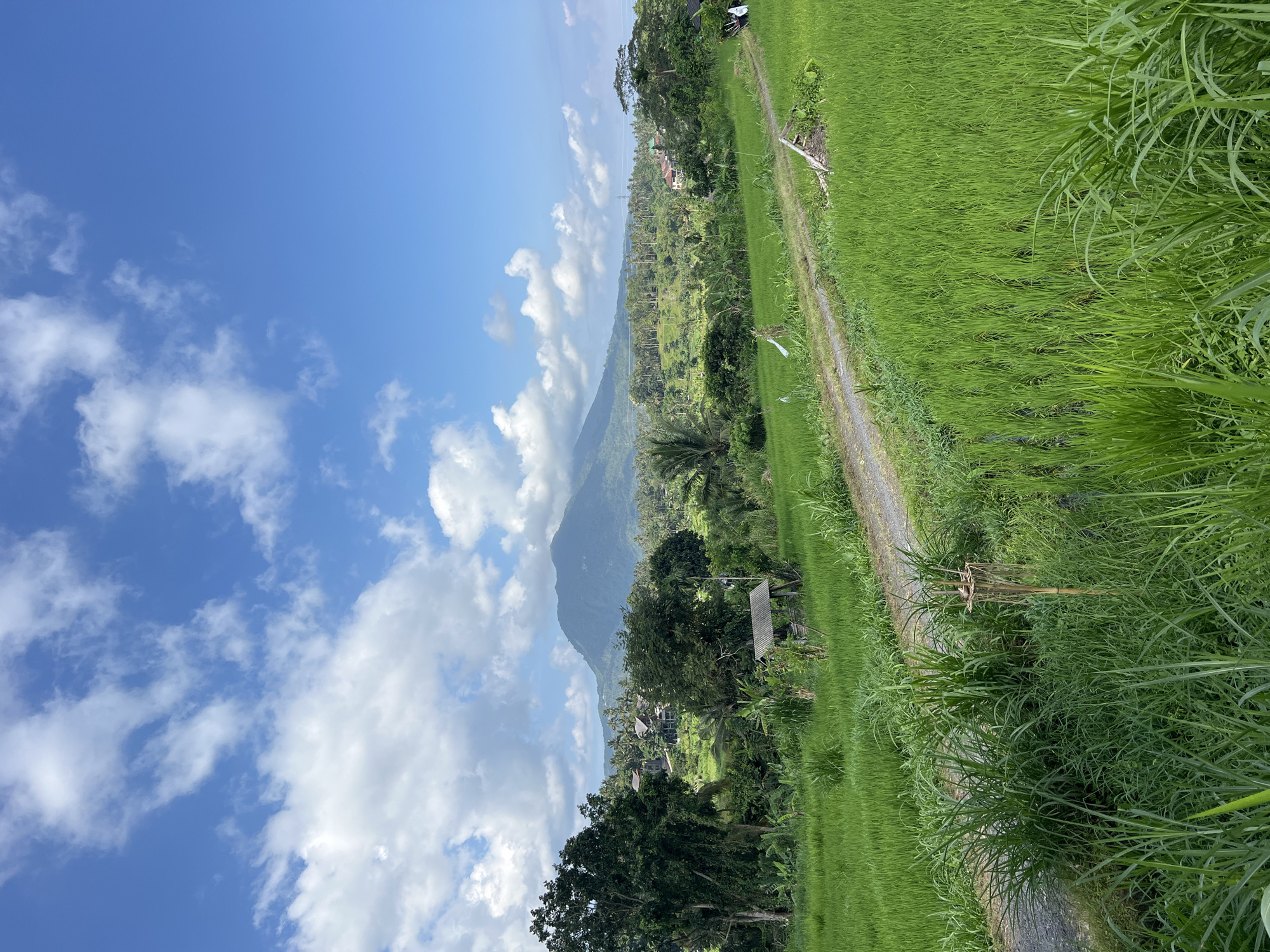 Rural agricultural landscape documented near Abang, Indonesia