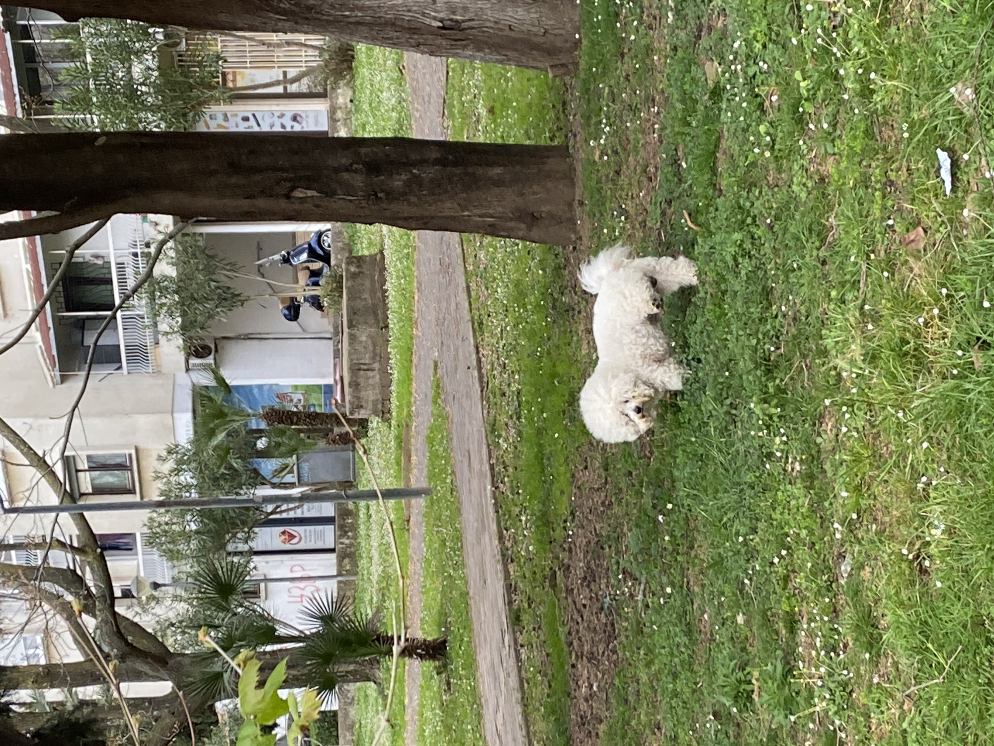 Everyday moments in Bar: dog in park, lunch break