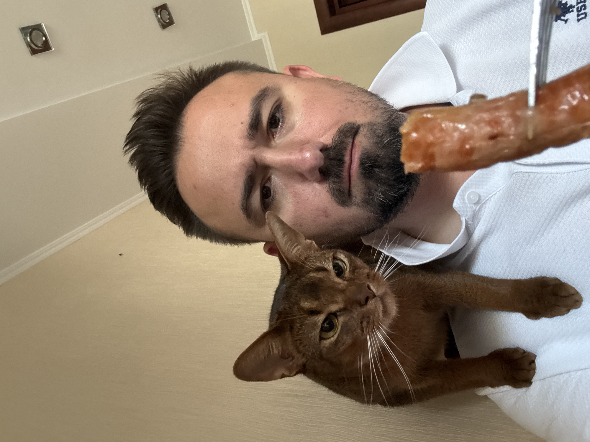 Cat on shoulder eyes a forkful of food indoors
