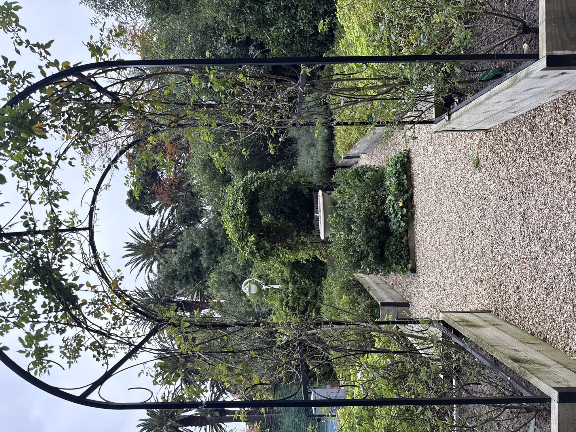 Visitor documents Cape Town public garden complex during afternoon stroll