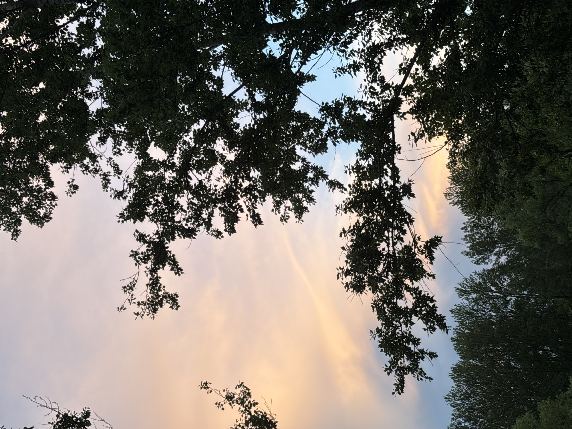 Woman documents evening with selfies and sky views in Rusanovo