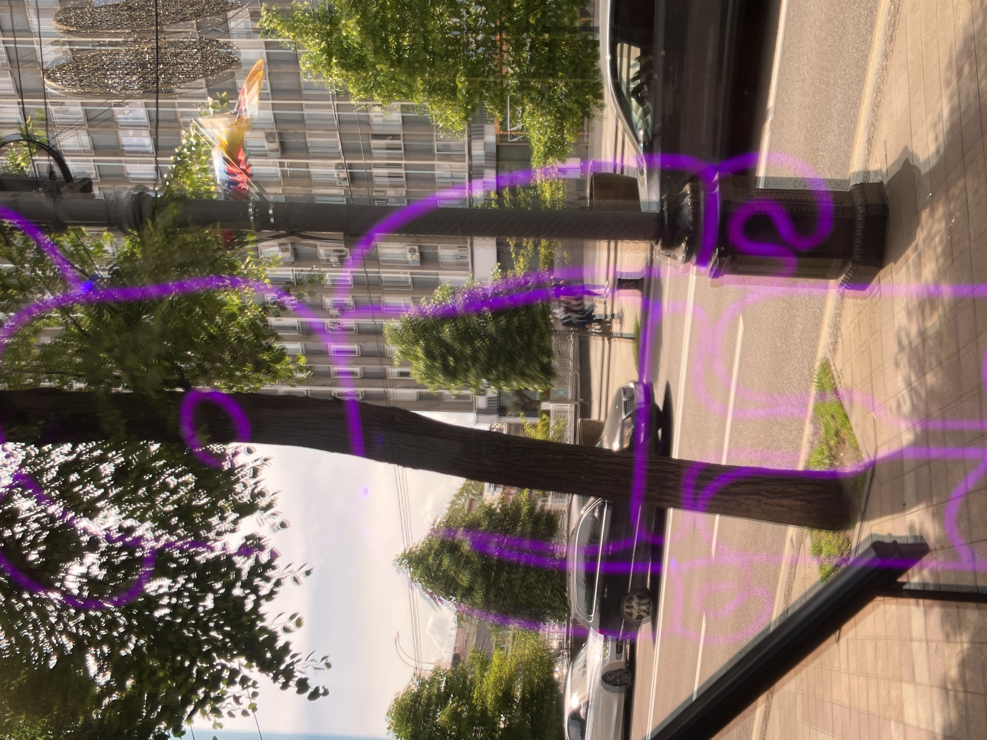 Morning street scenes and public art documented in Krasnodar