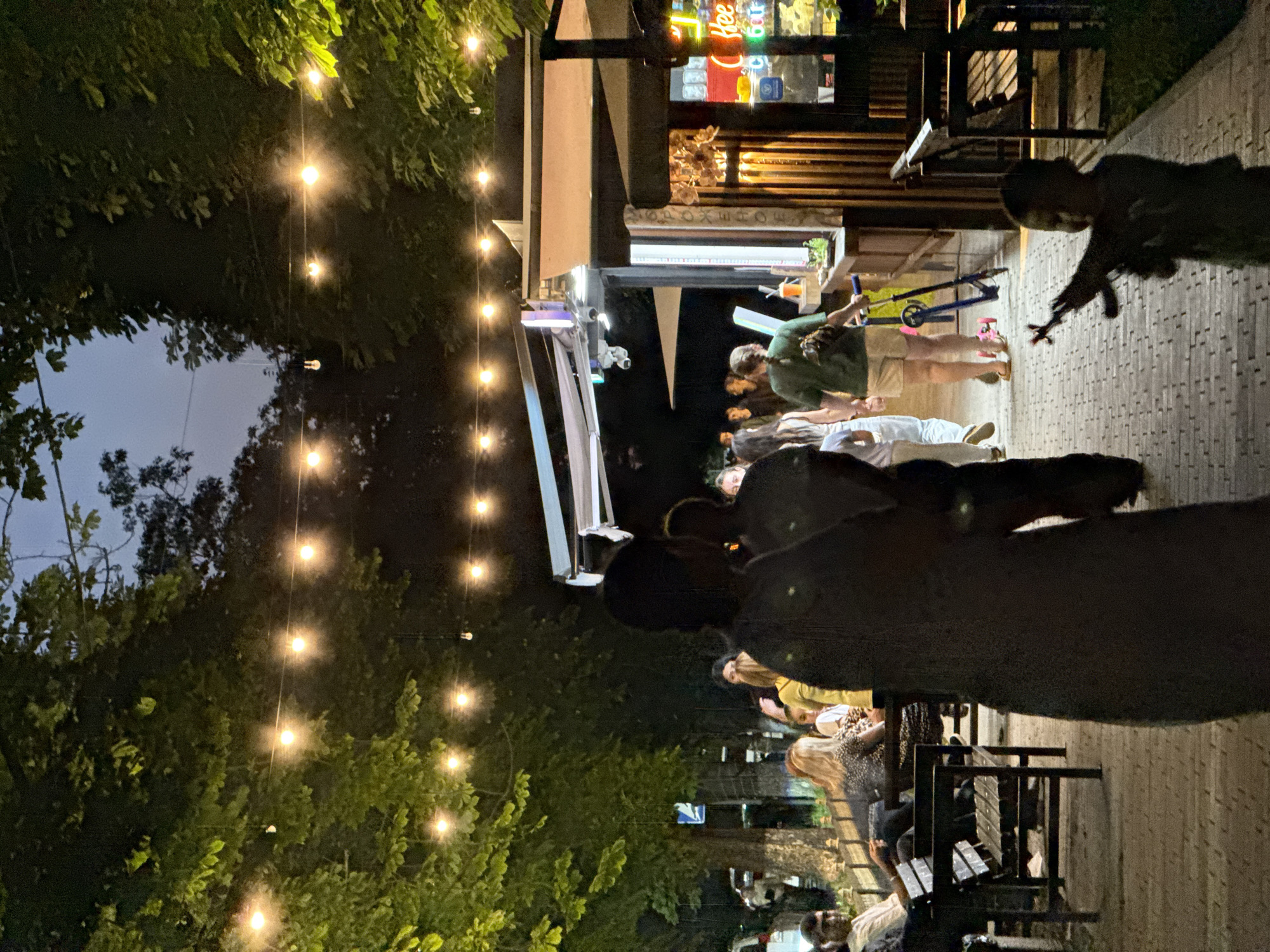 Fairy-lit outdoor gathering in Novo-Artlukh on a summer evening