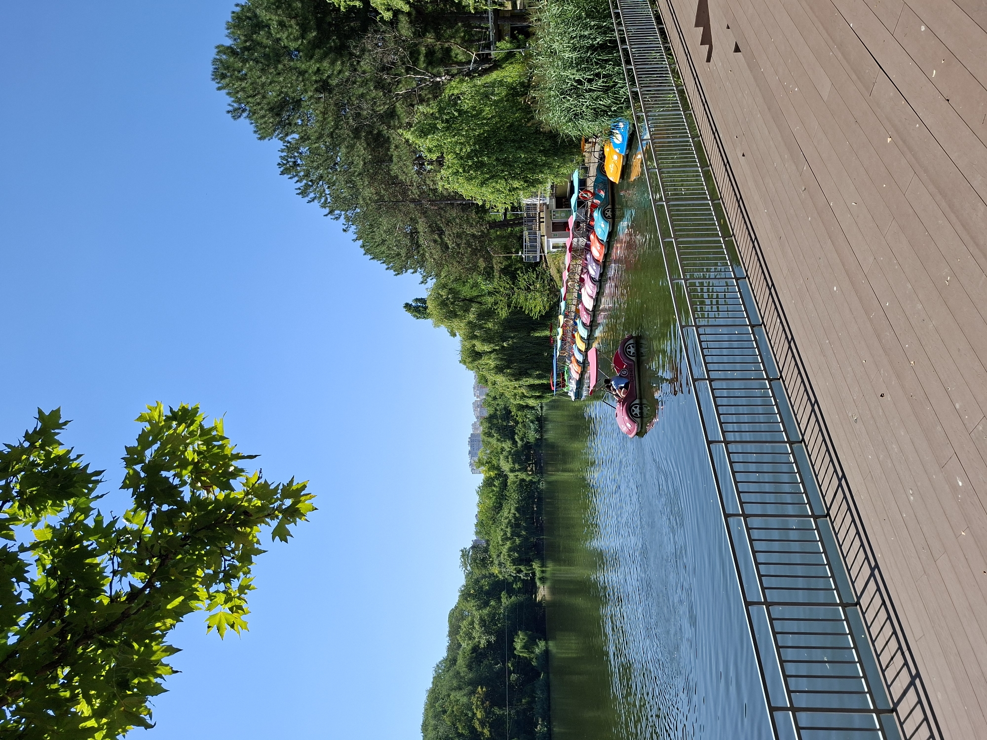 Lazy summer morning at Chișinău's Dendrarium Park lake