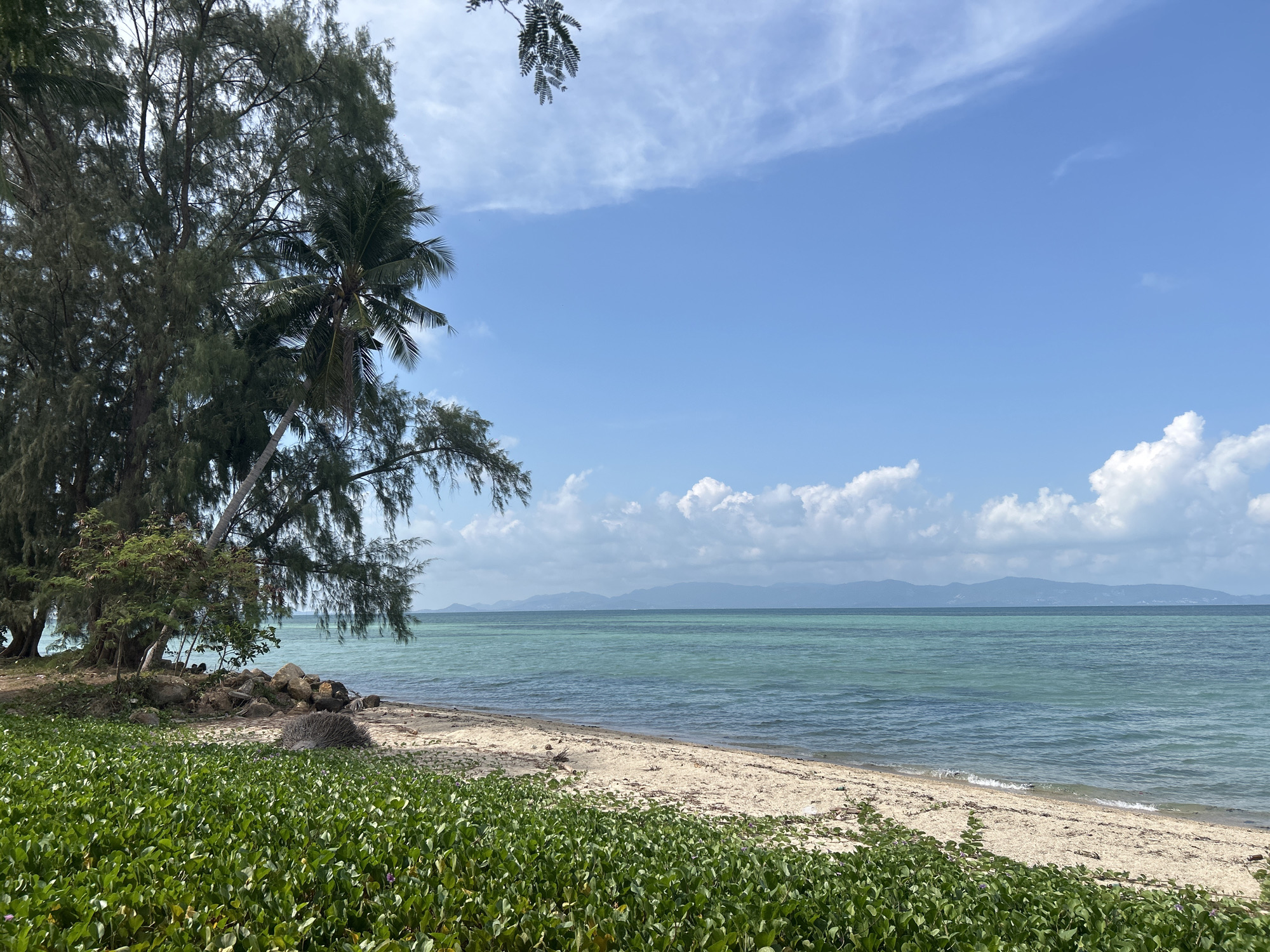 Beach scene documented near Thong Sala, Thailand