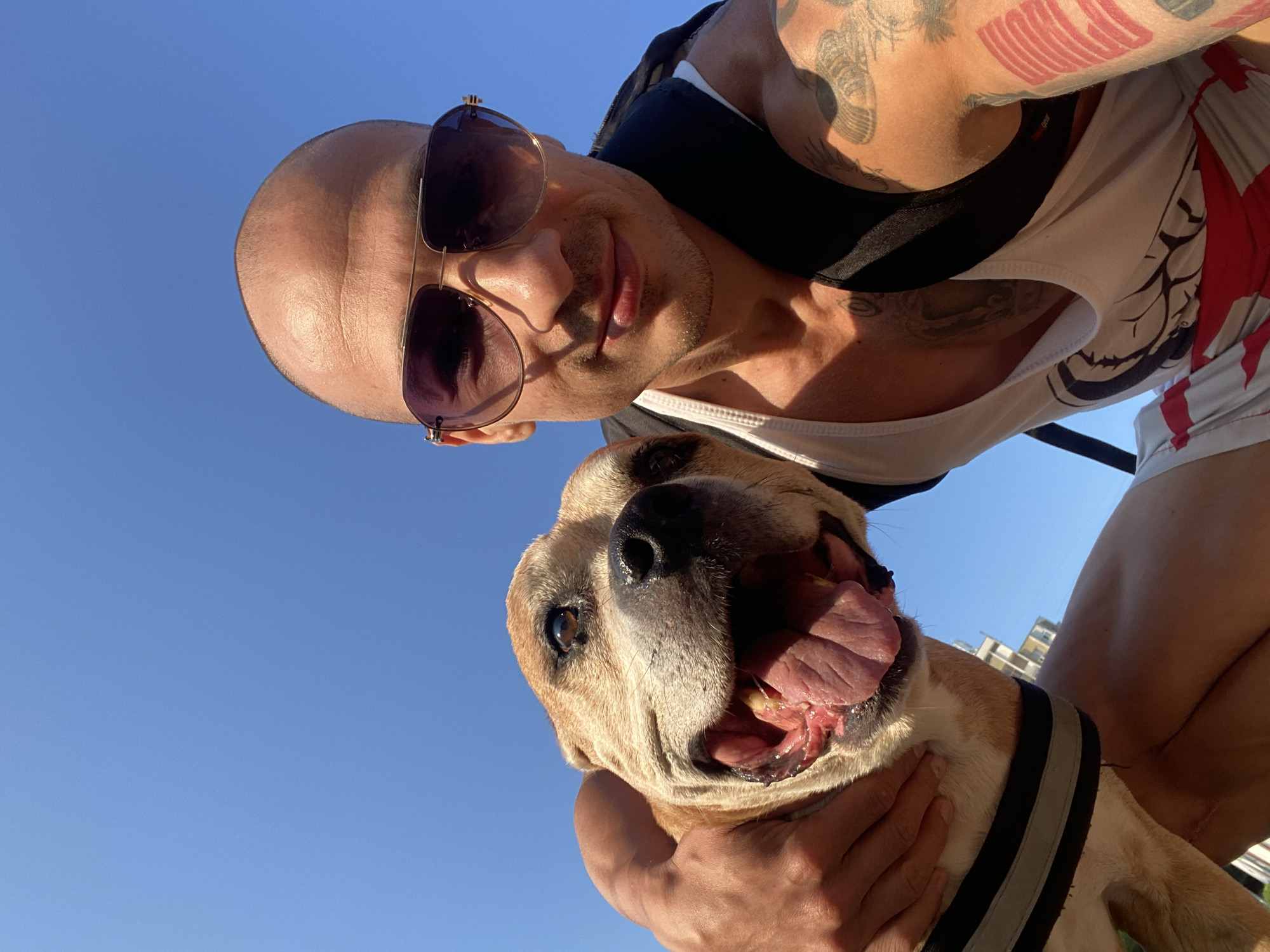 Sunny selfies with a pit bull in Pleven, Bulgaria
