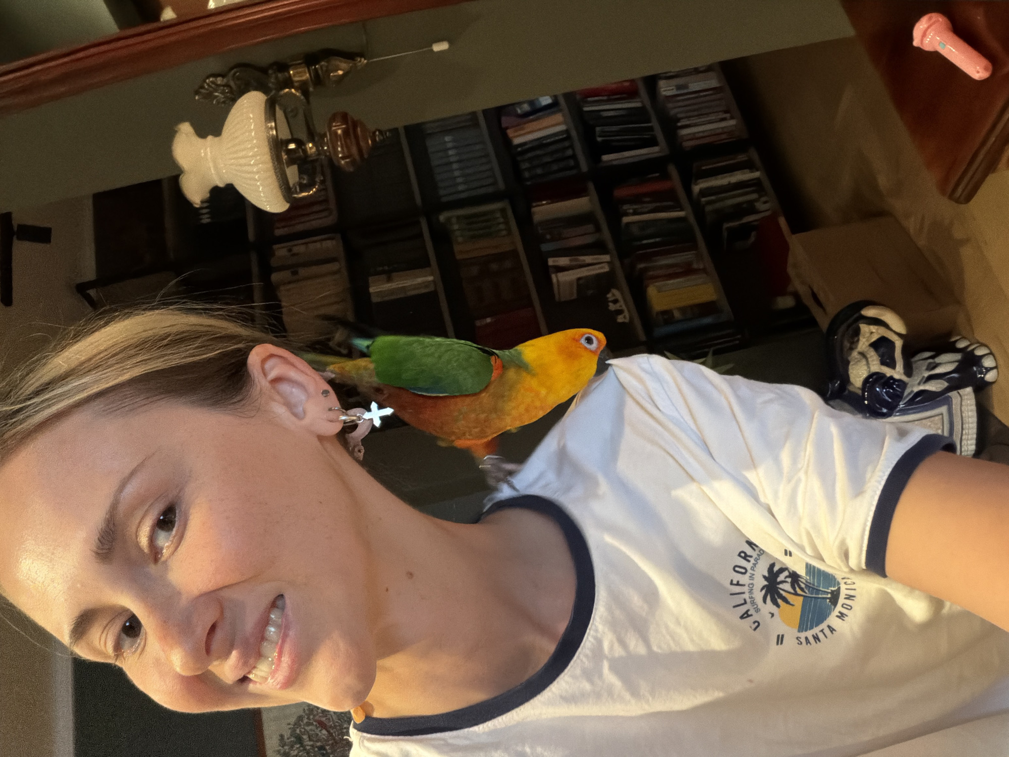 Afternoon outing with a sun conure in Khimki