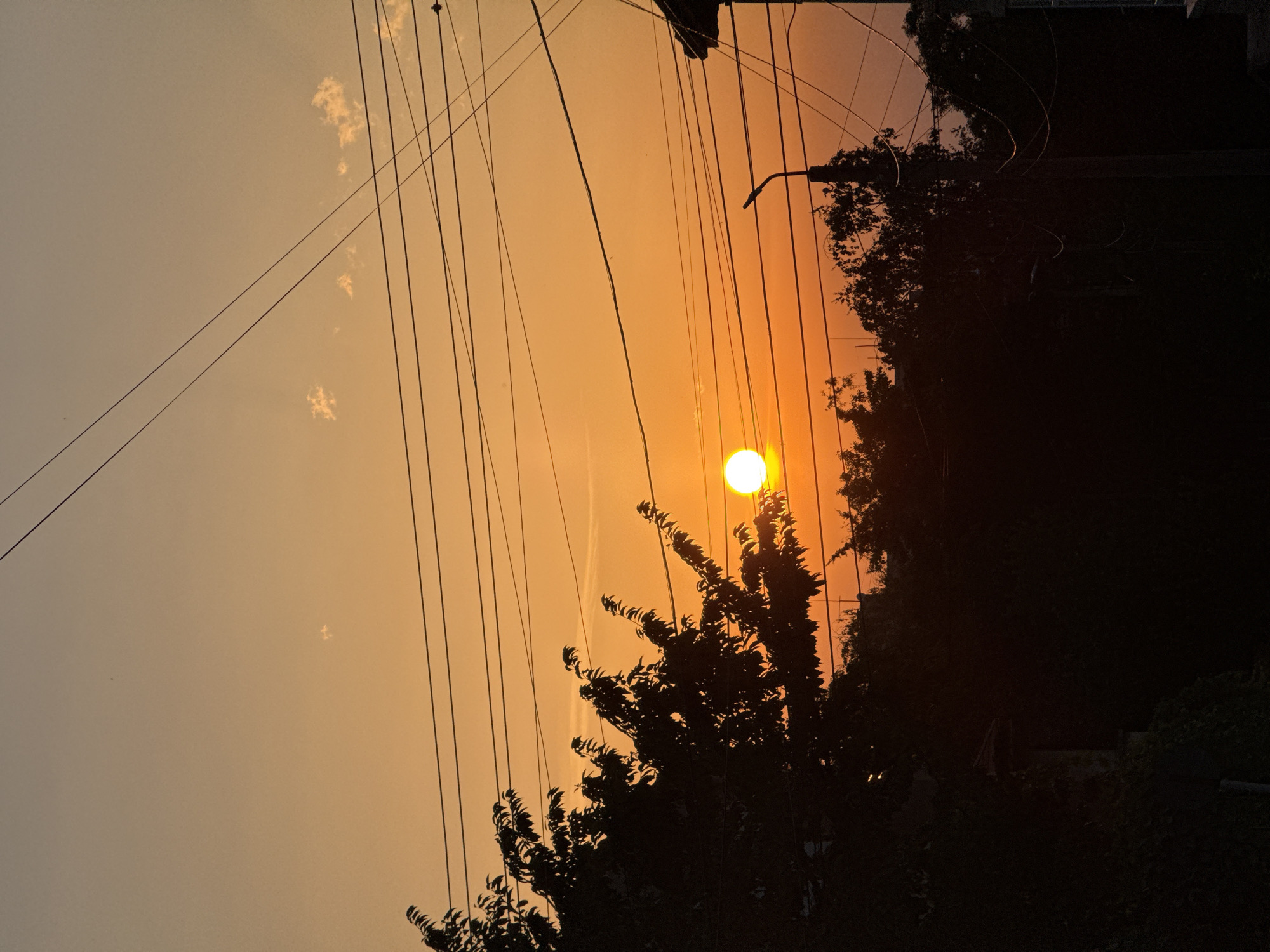 Laid-back evening at home in Pleven with a Yorkshire Terrier