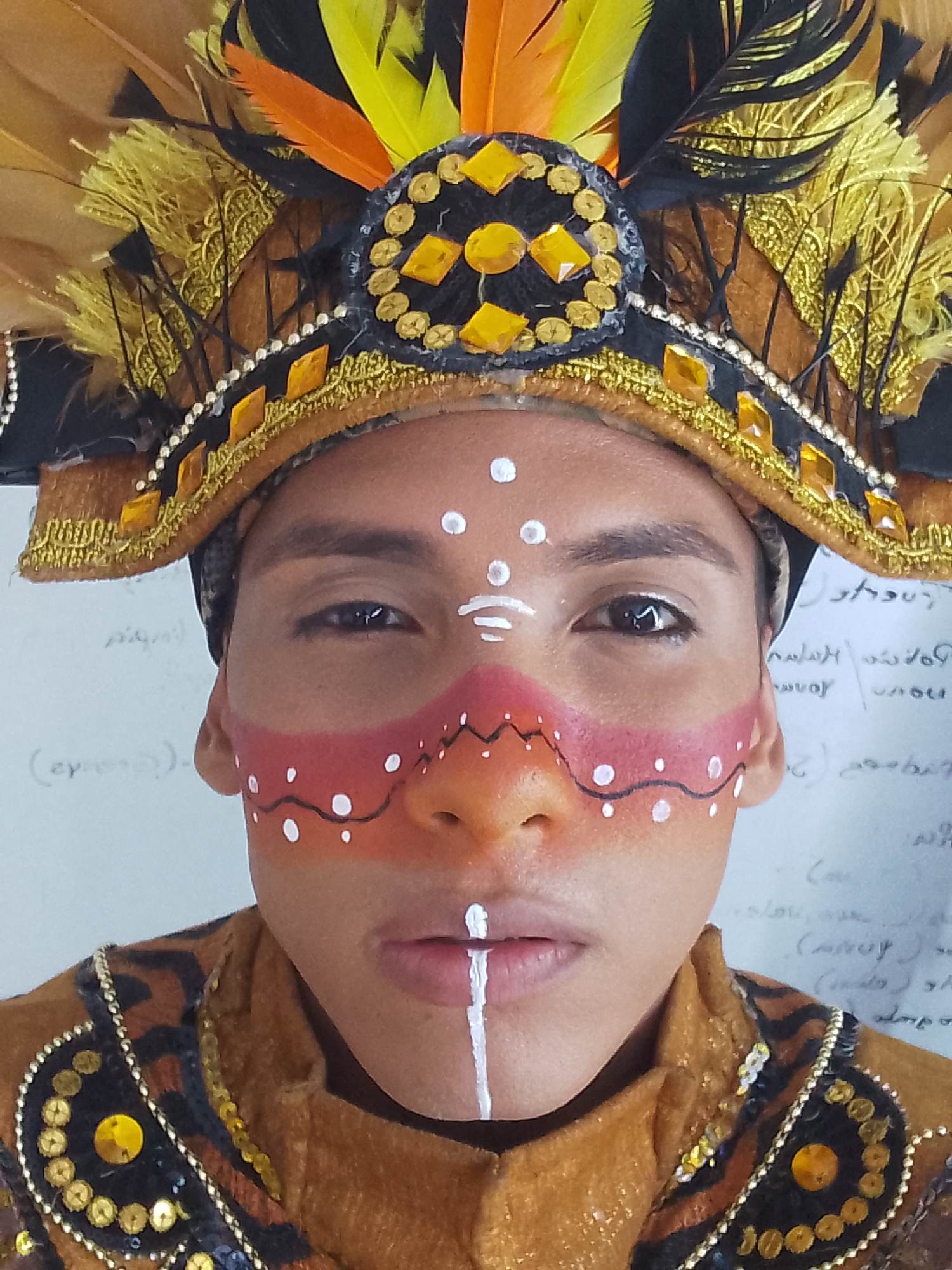 Carnival celebration with elaborate costumes documented in Porlamar, Venezuela