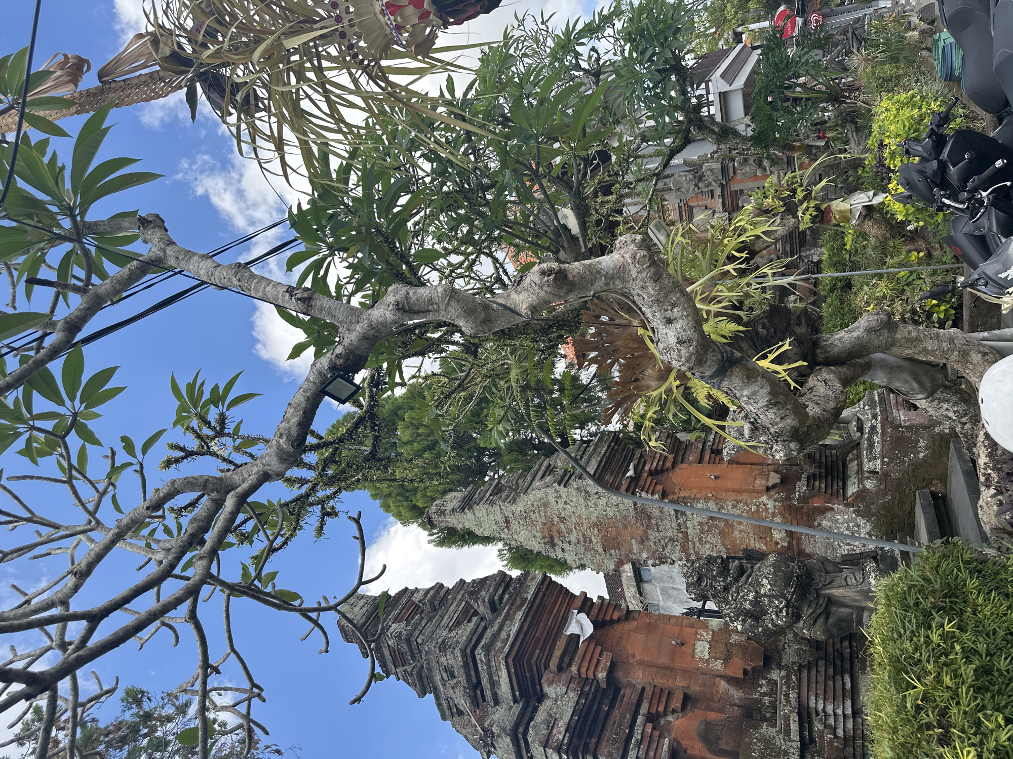 Early morning through Ubud's temples, streets, and market stalls