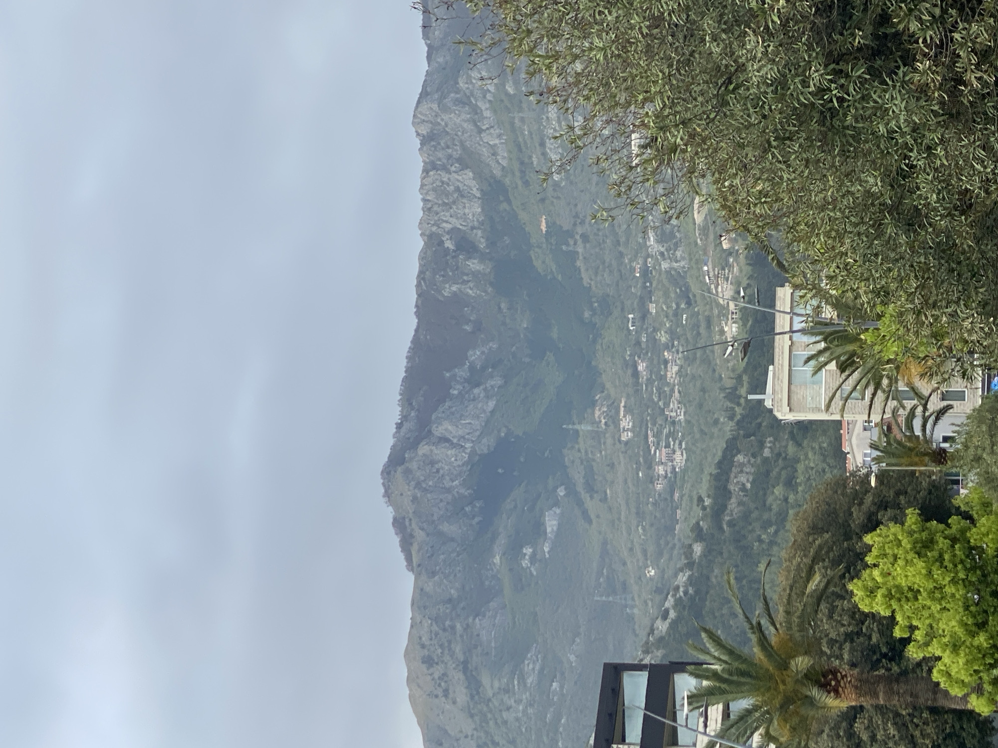 Dog walker captures everyday park scenes in Budva, Montenegro