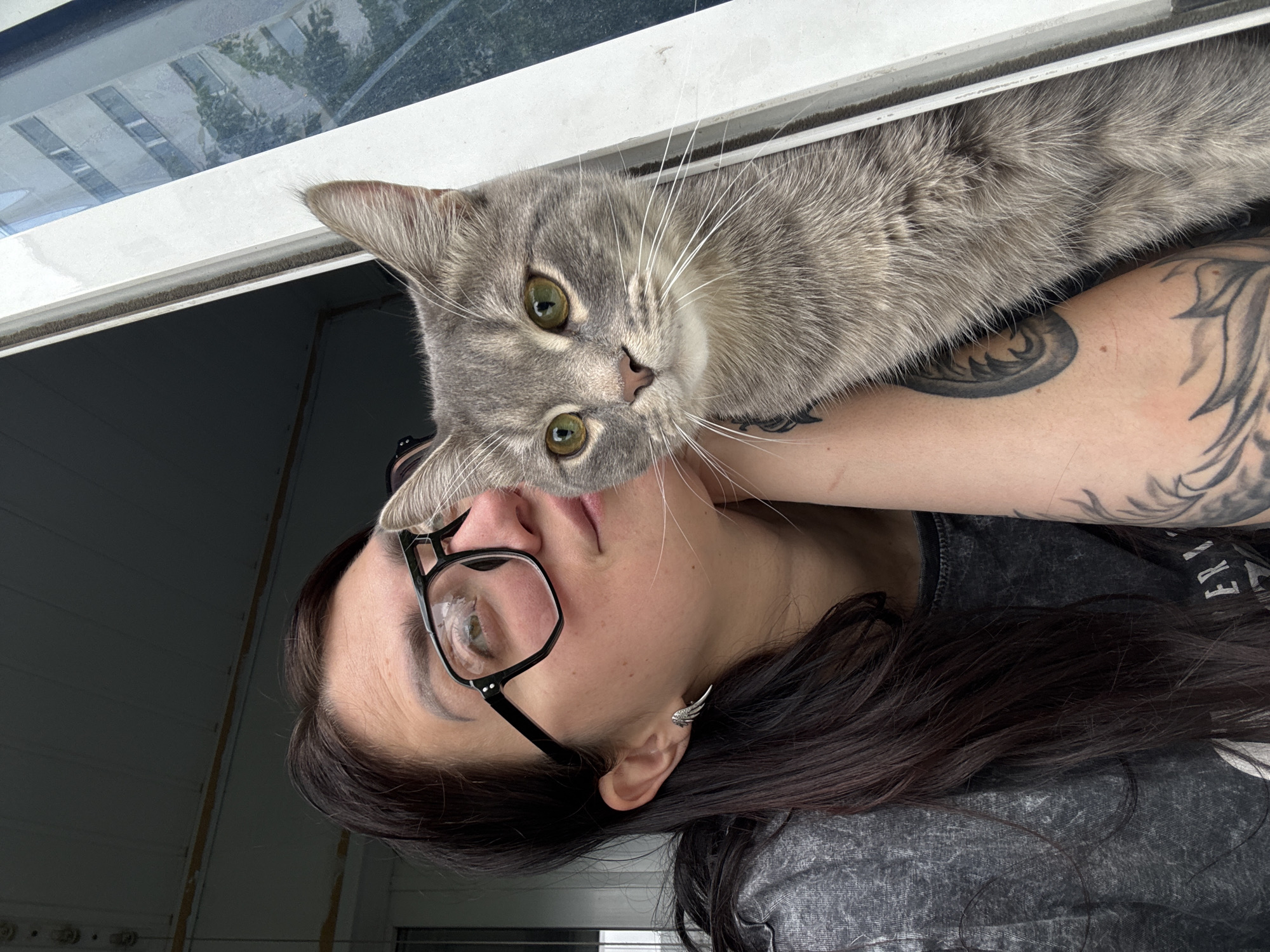 Woman with glasses and cats share morning window moments