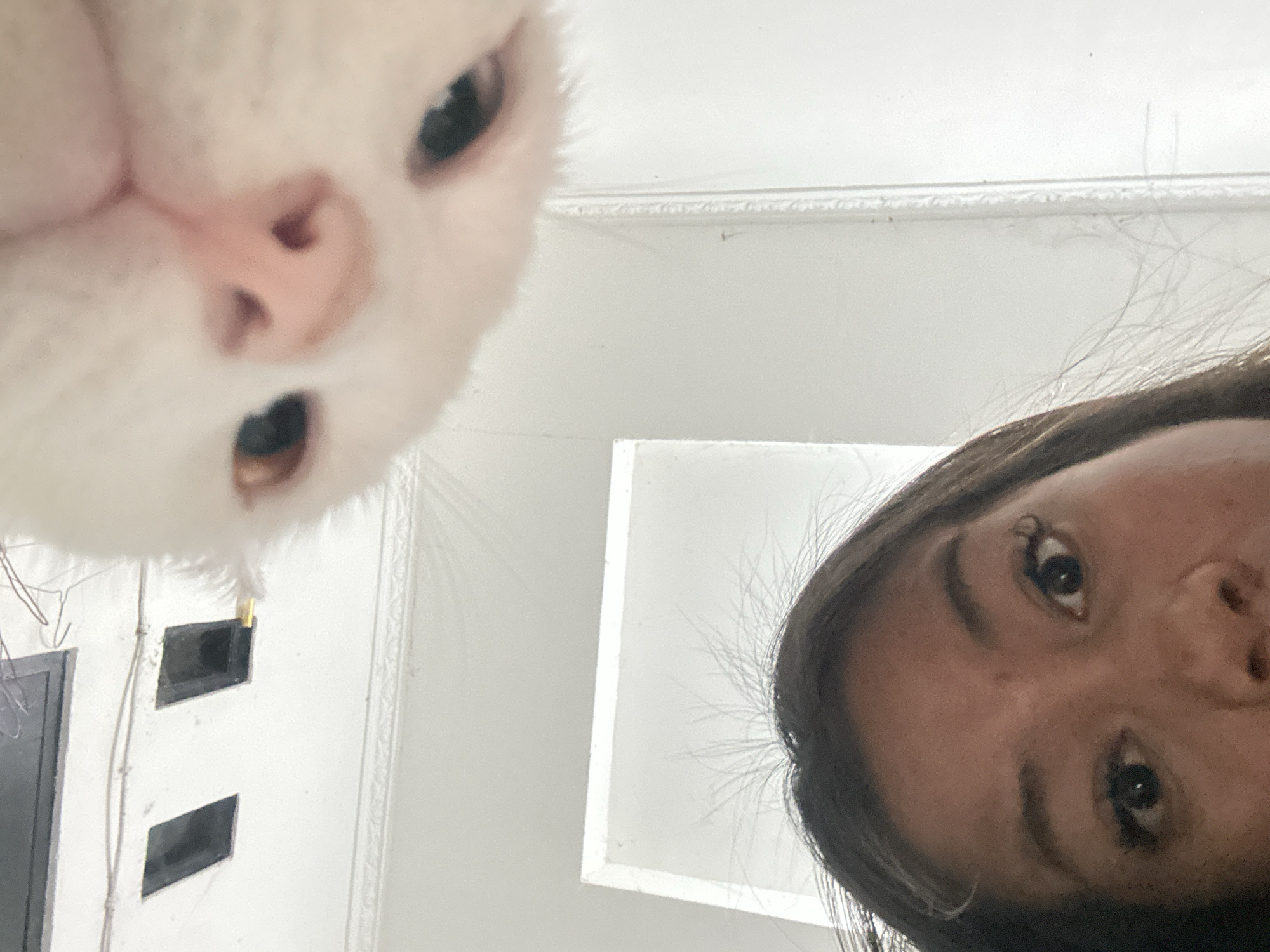 Woman takes playful selfies with dressed white cat in Jakarta