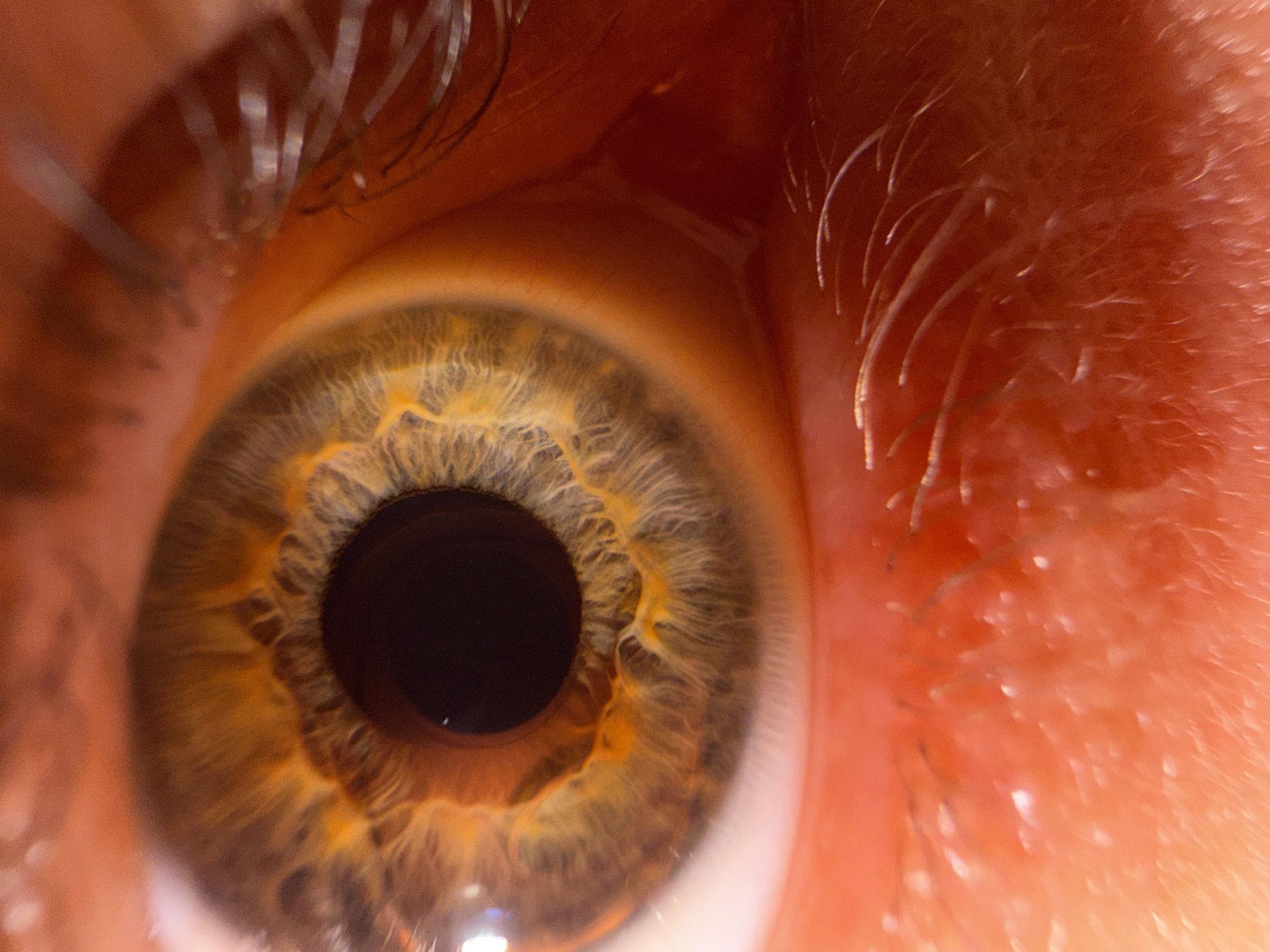 Bangkok photographer documents human eyes in macro photography session