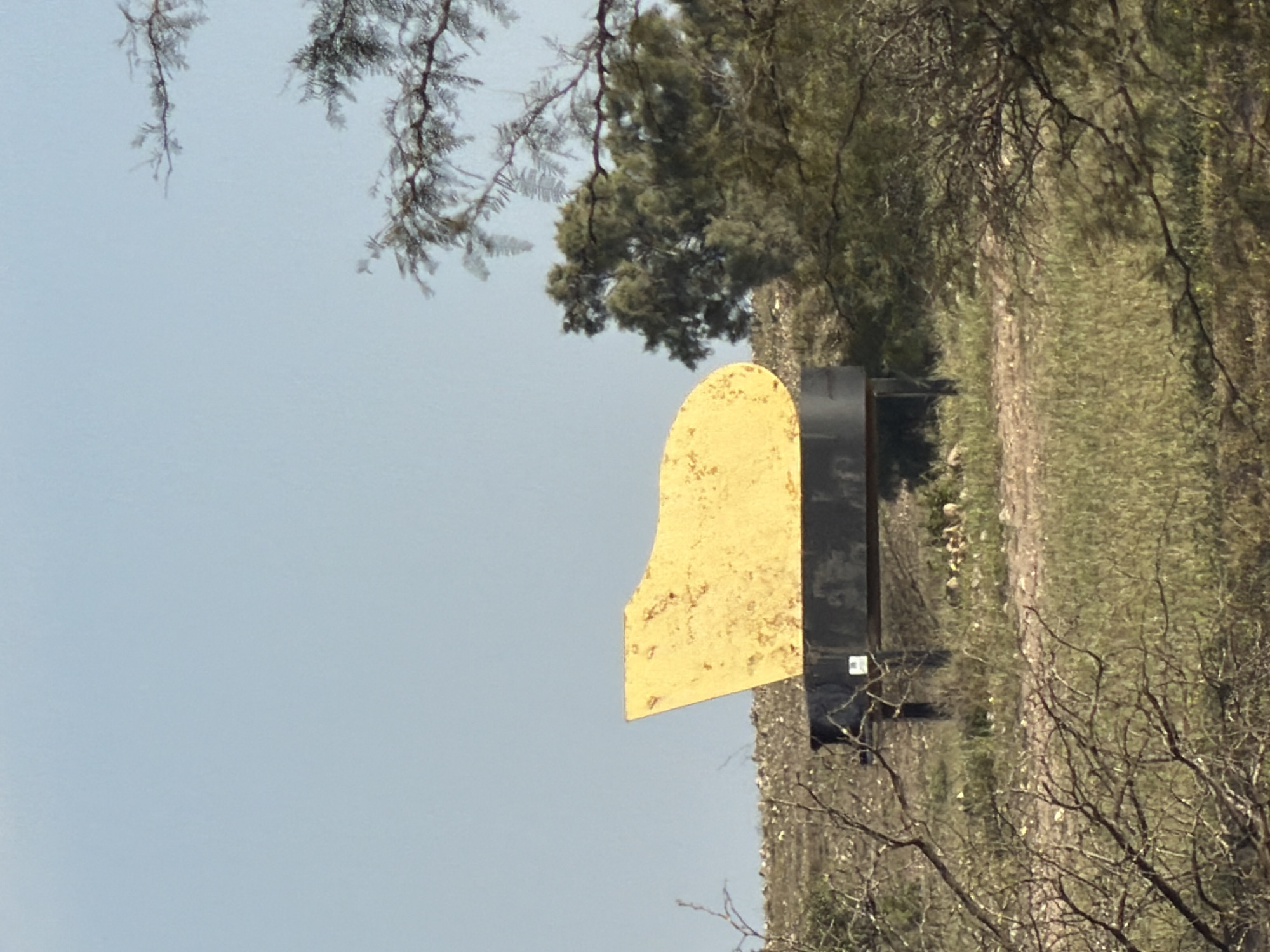Target stand spotted in rural Israeli woodland area