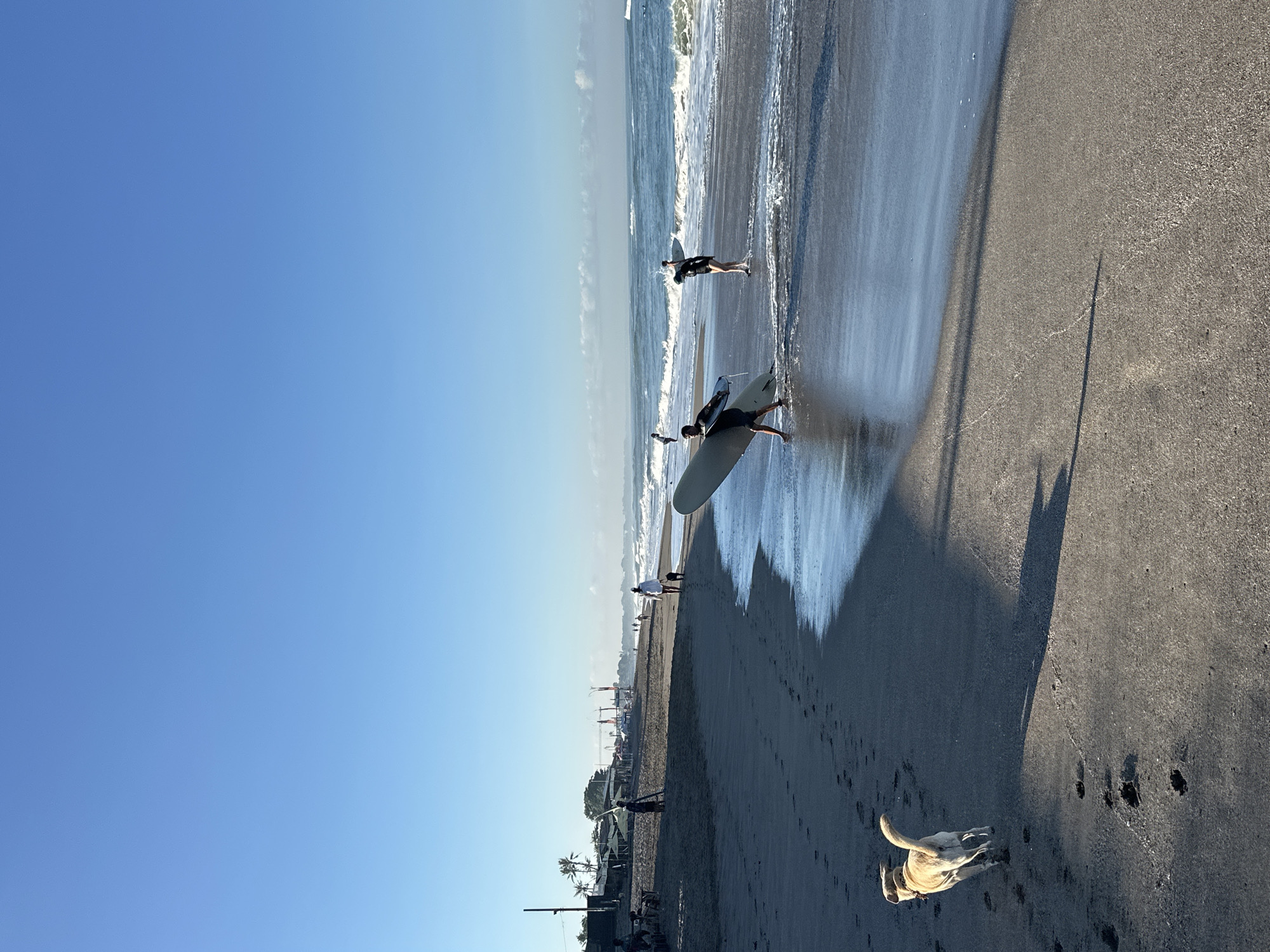 North Kuta beach life: surf, sand, dogs, and downtime