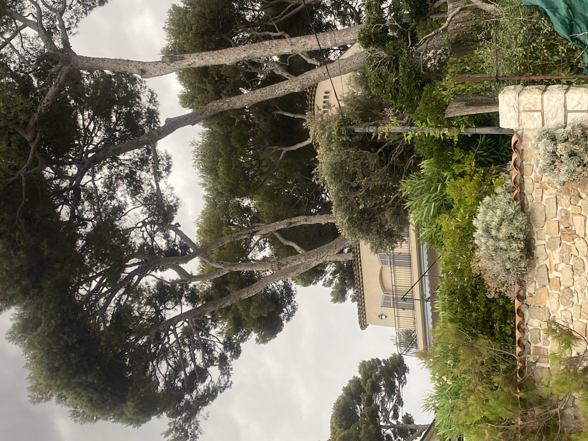 Antibes coastline: rocky shores, pines, and seaside villas on a grey afternoon