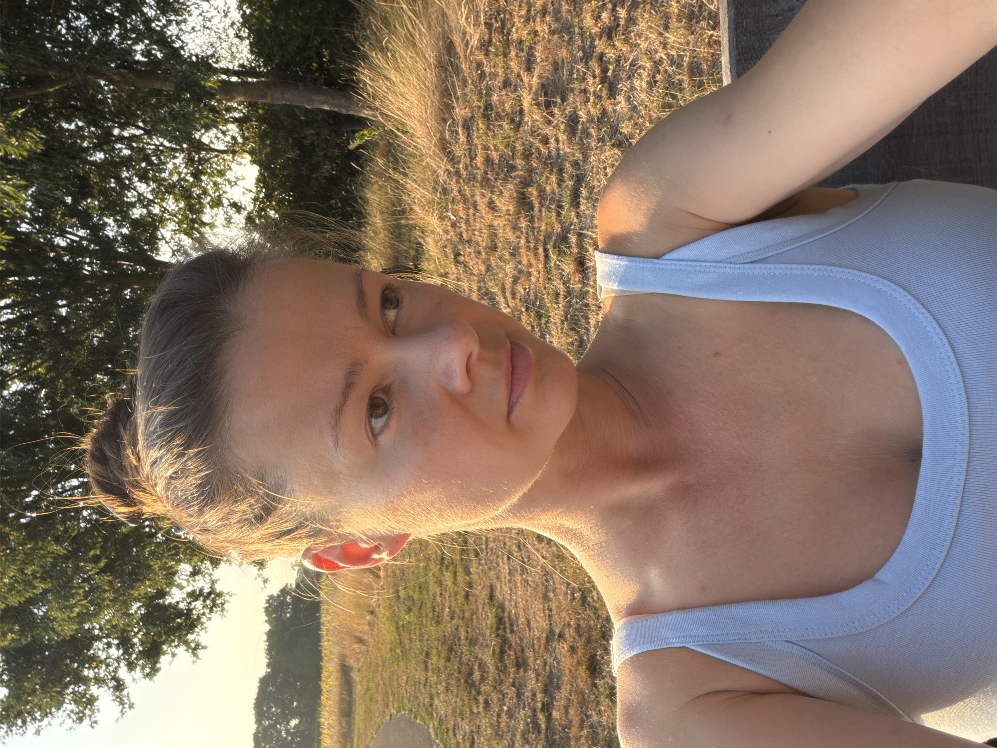 Golden hour evening in the fields and roads of Melick