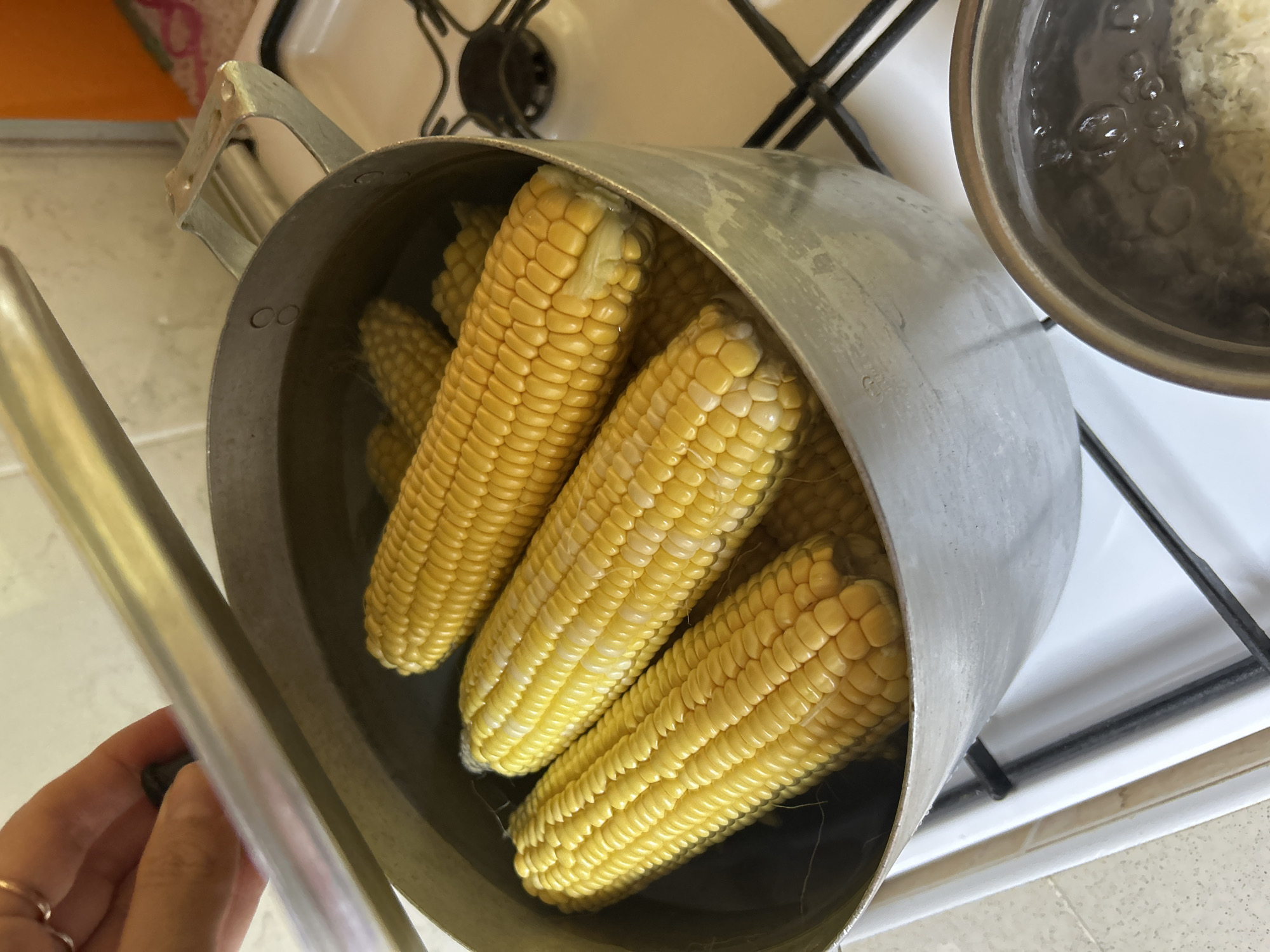 Summer day in Gelendzhik: home cooking, gardens, and city streets