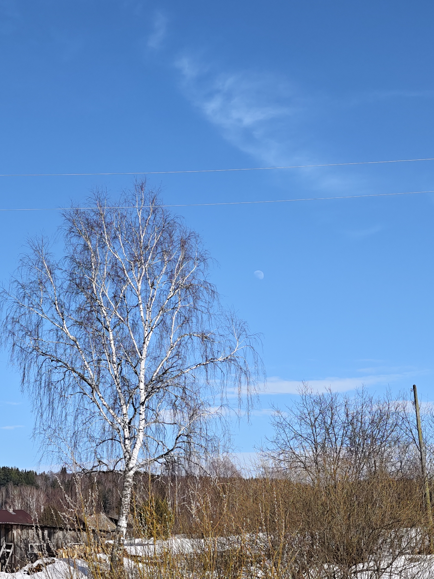 Spring thaw observed in rural Уральское, Russia