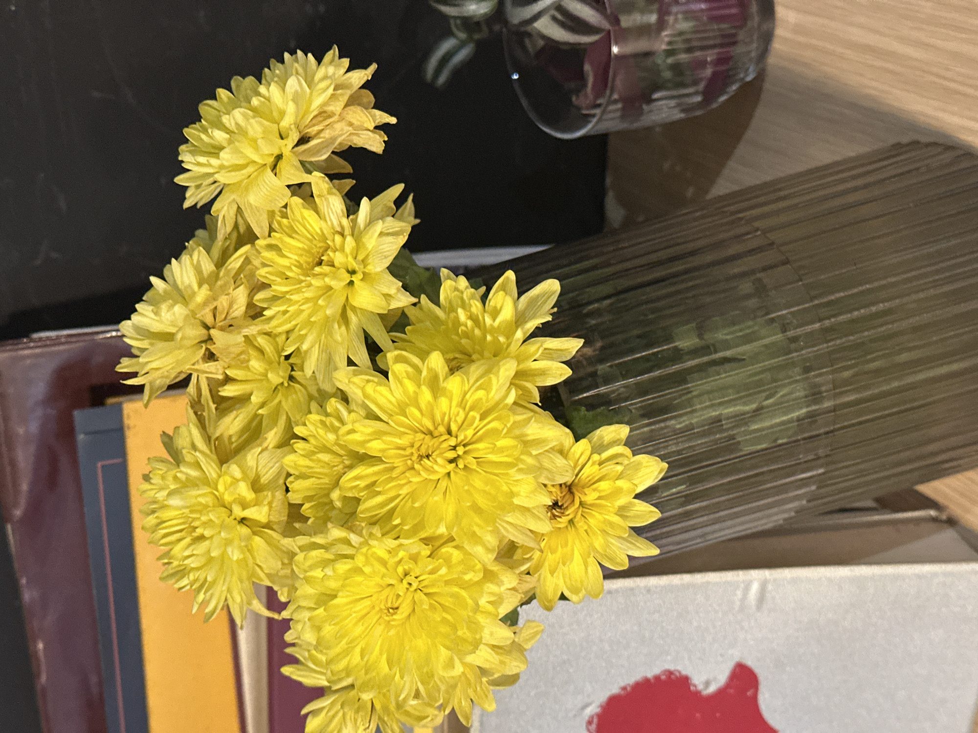 Everyday moments captured across Novi Sad: flowers, selfie, gym