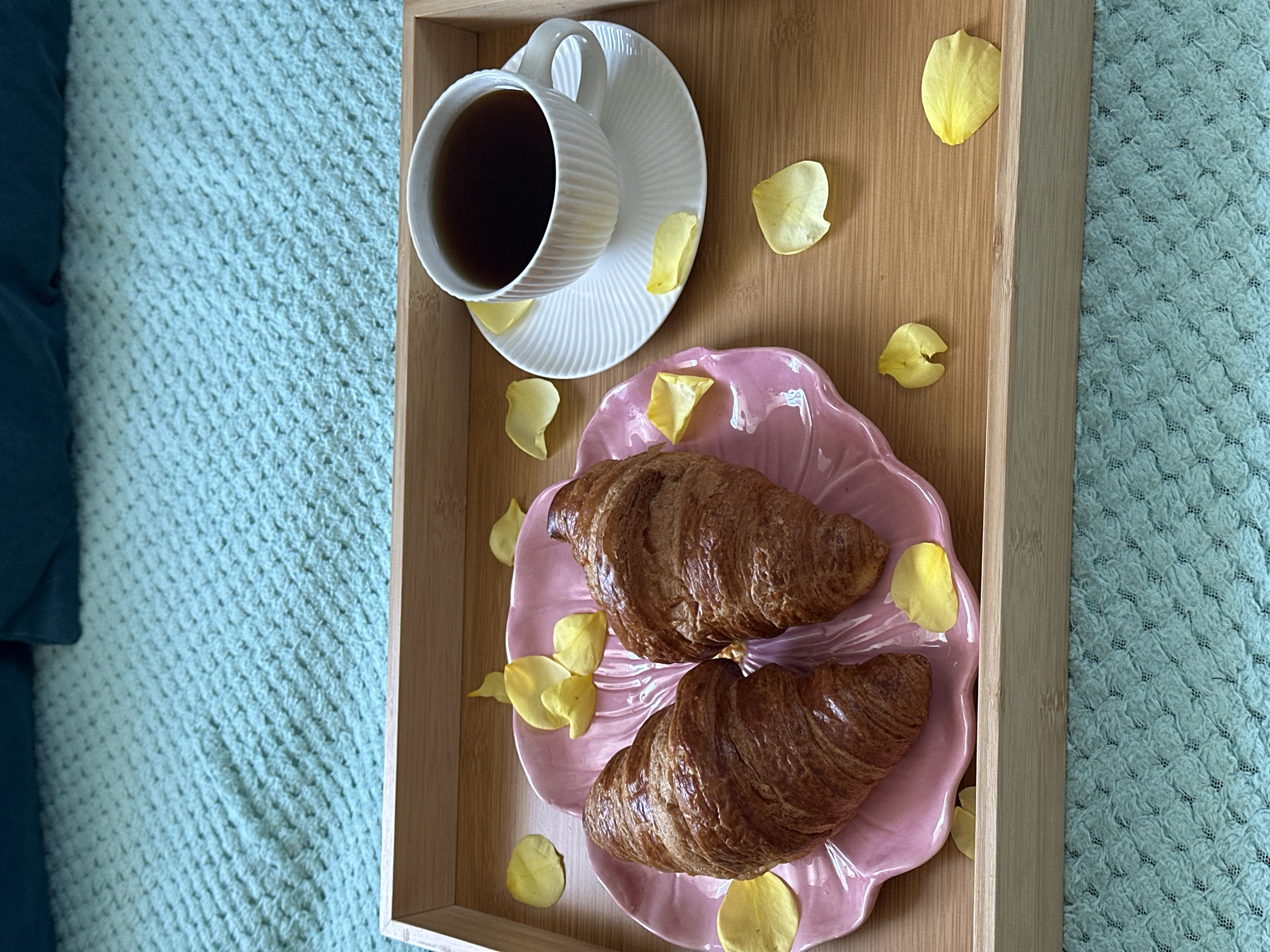 Morning tea service observed on blanket in Wisła, Poland
