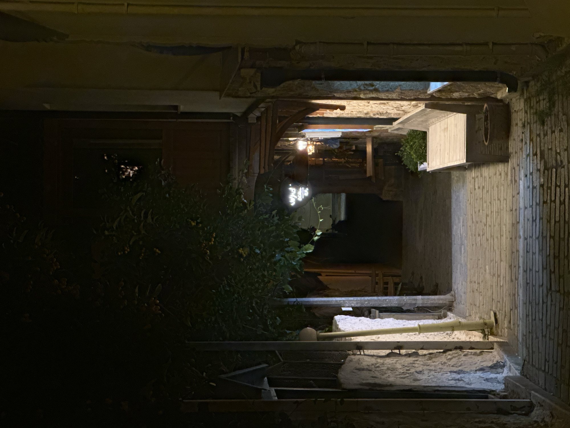Nighttime scene captured in narrow Kaş alleyway