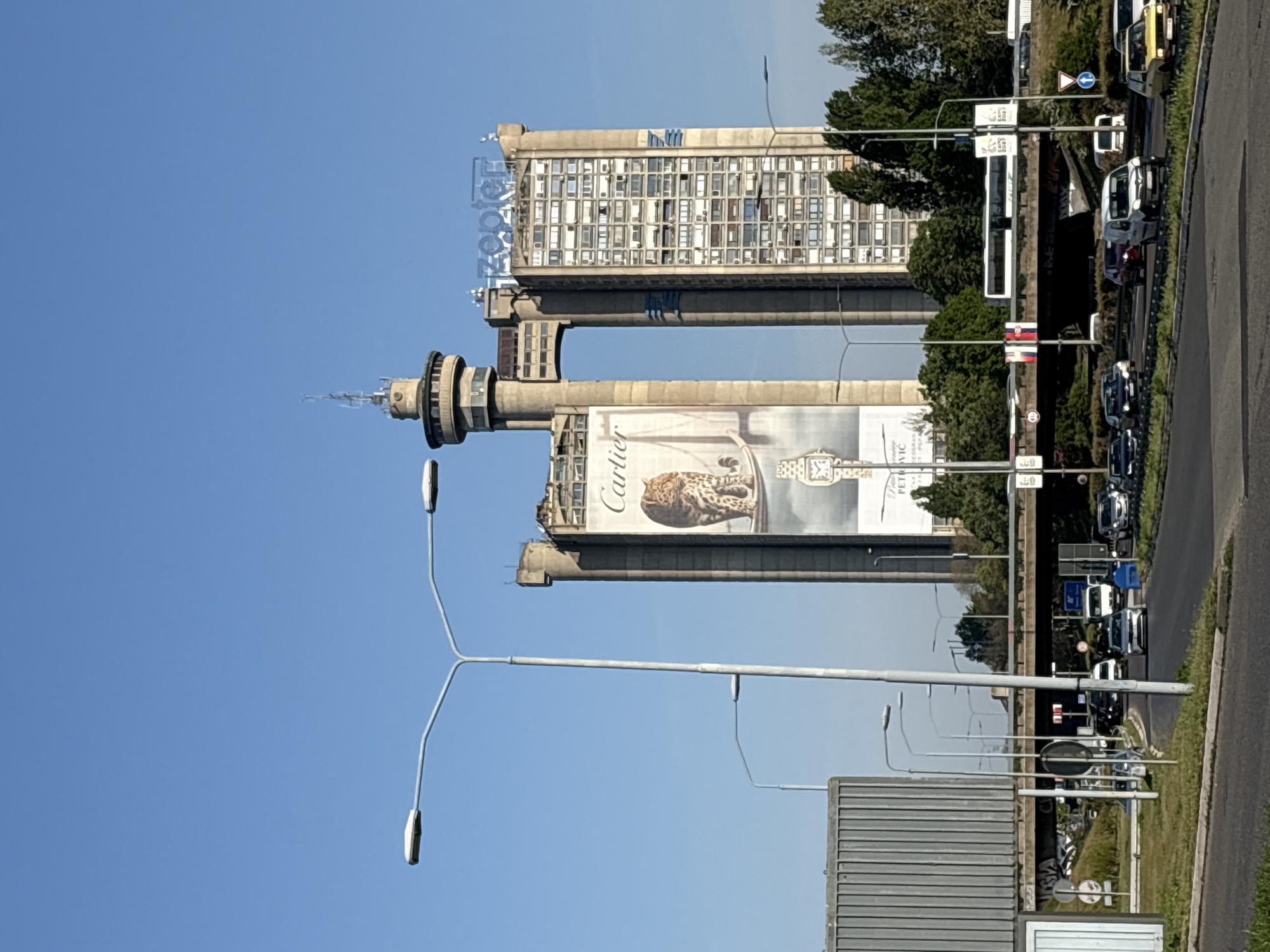 Morning documentation of Belgrade's Genex Tower and street cats