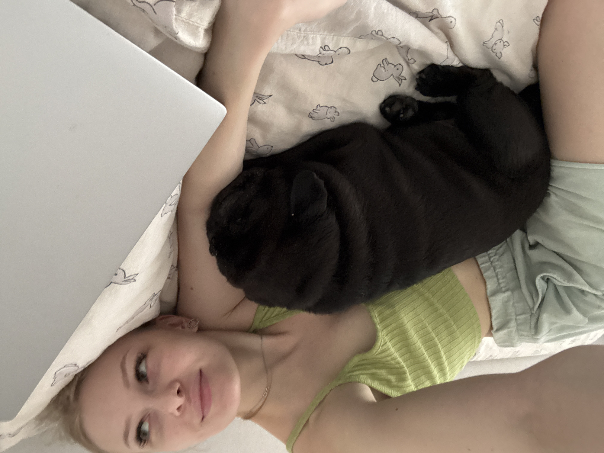 Lazy afternoon in Perm with a sleeping black pug