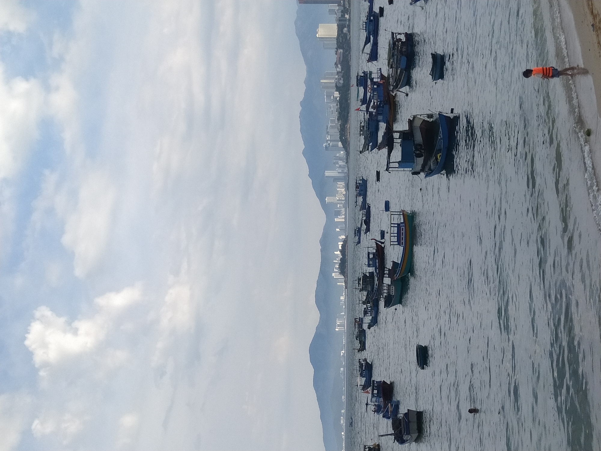 Crowded harbor bay, city skyline, and coastal streets