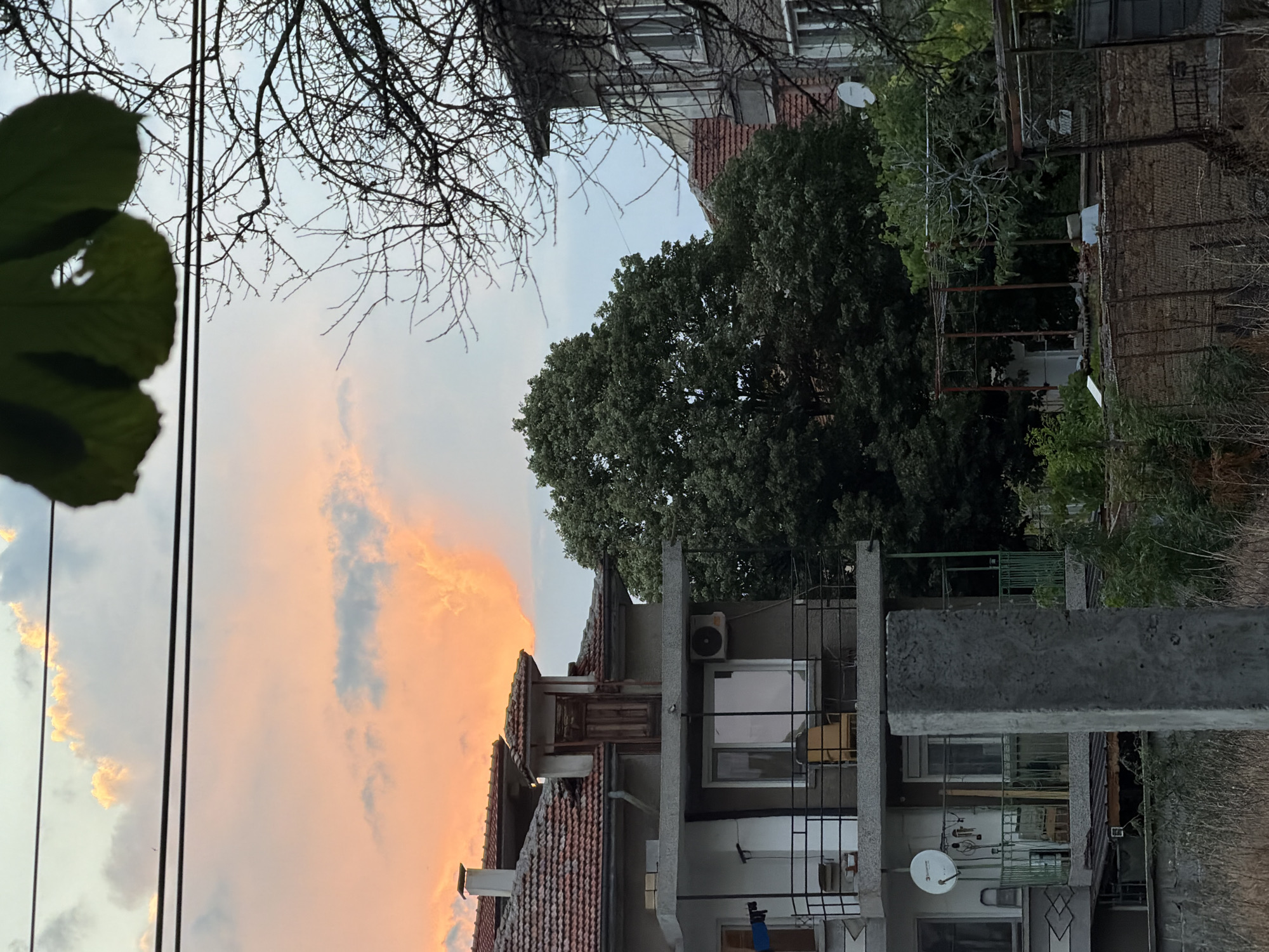 Sunset sky over urban rooftops, power lines, and trees