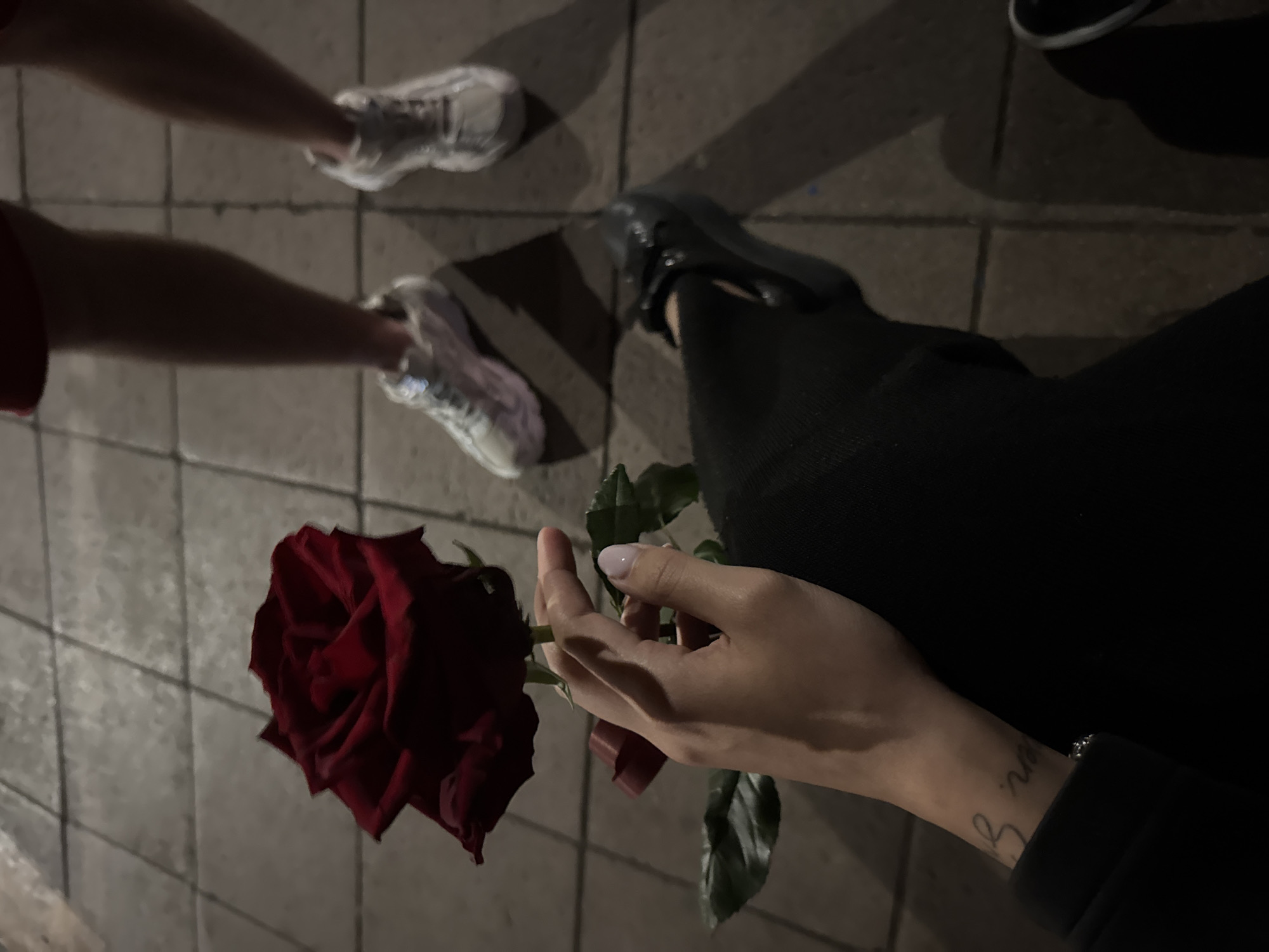 Person holds red rose on Sofia sidewalk