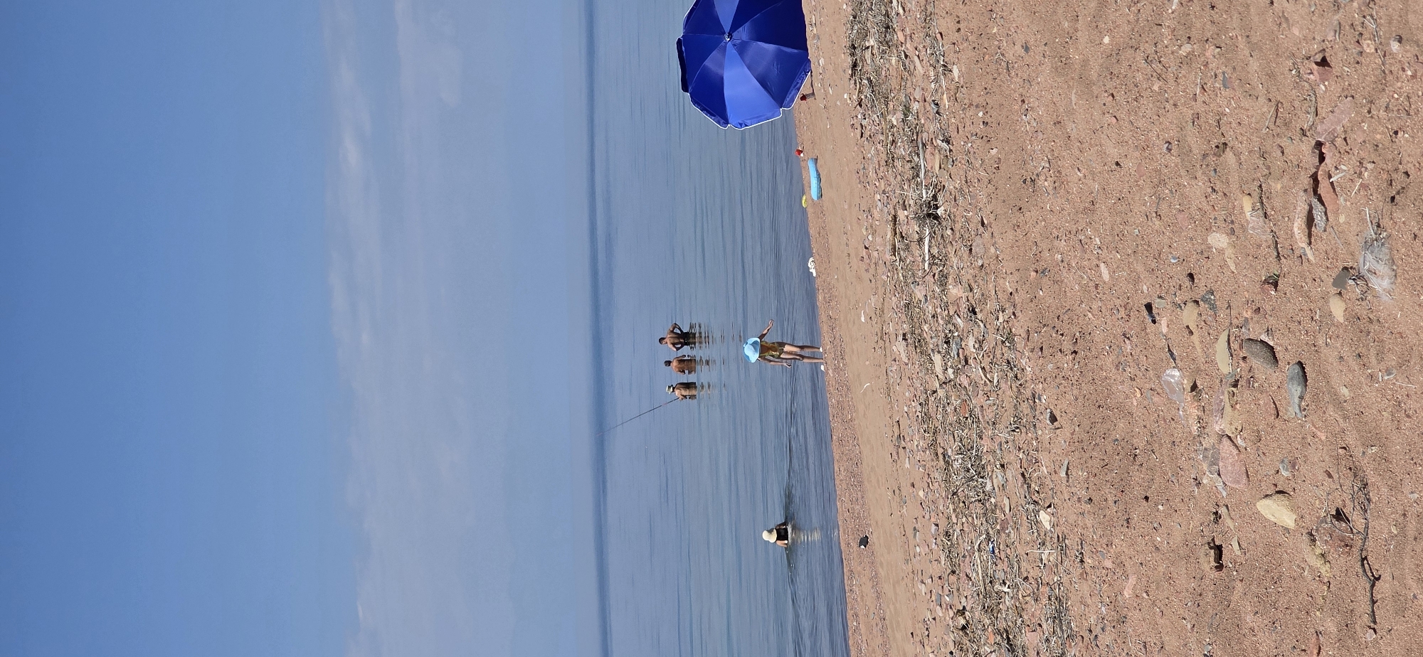 Tosor beach and steppe flora and fauna, Kyrgyzstan summer morning