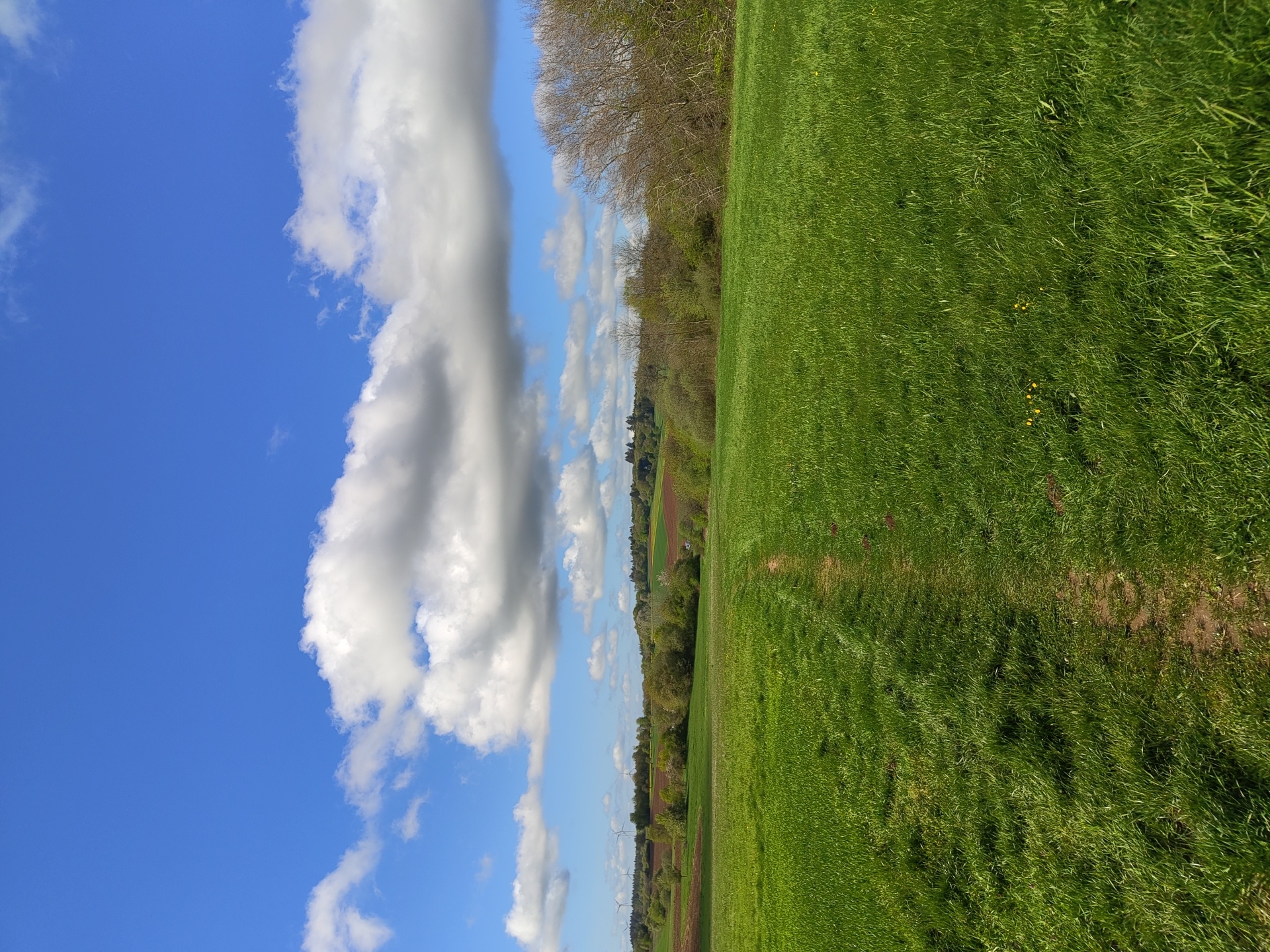 Morning countryside walk documented in Mettlach, Germany