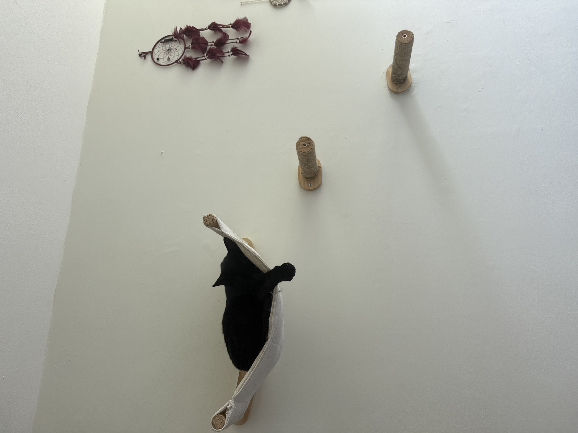 Indoor living space documented in Cuernavaca home