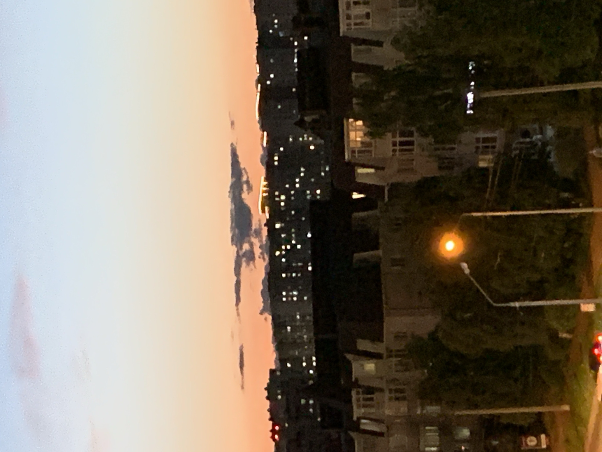 Evening memories: guitar, cats, and twilight walks documented