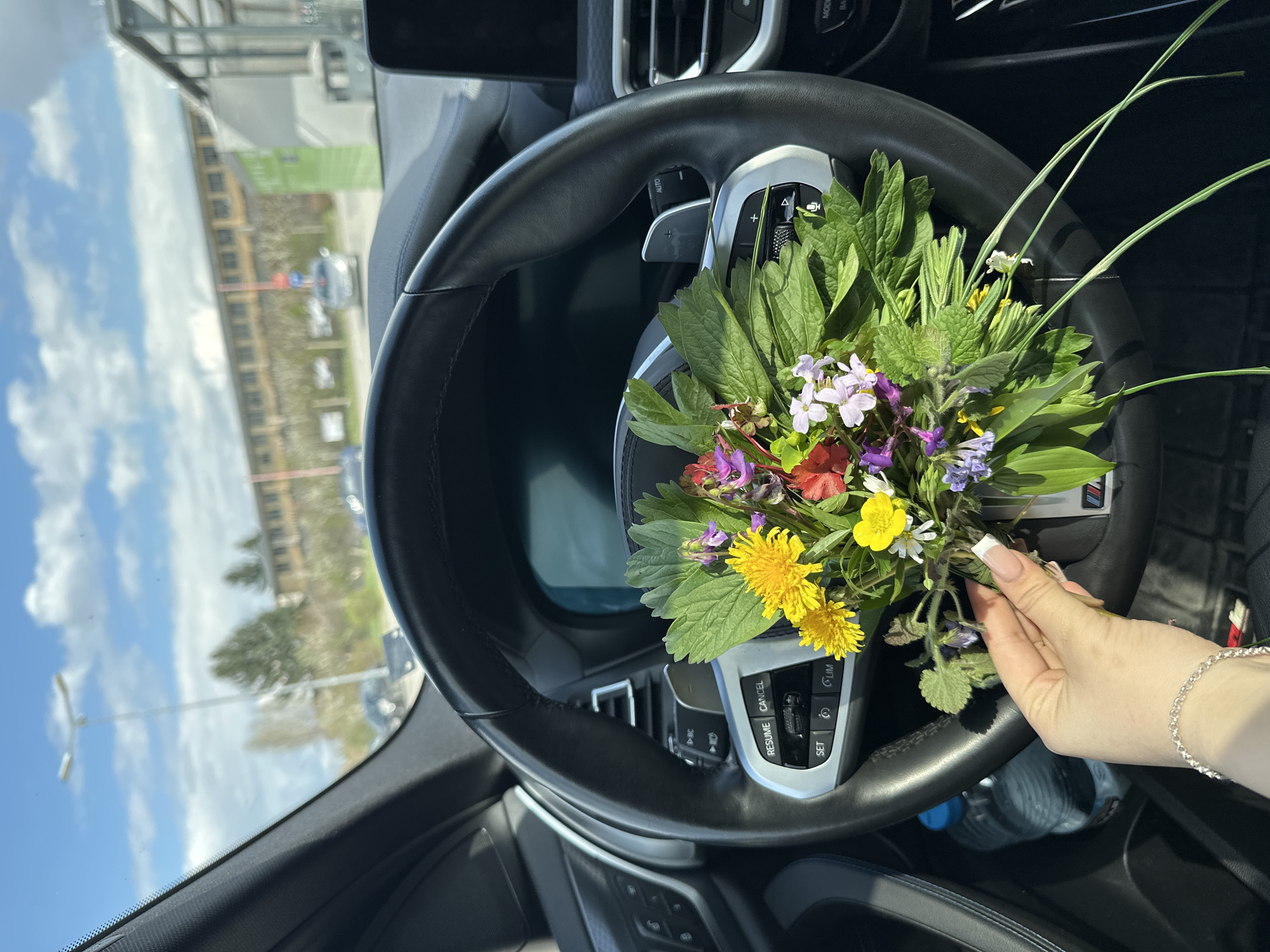 Wildflower bouquet spotted in car interior in Targovishte