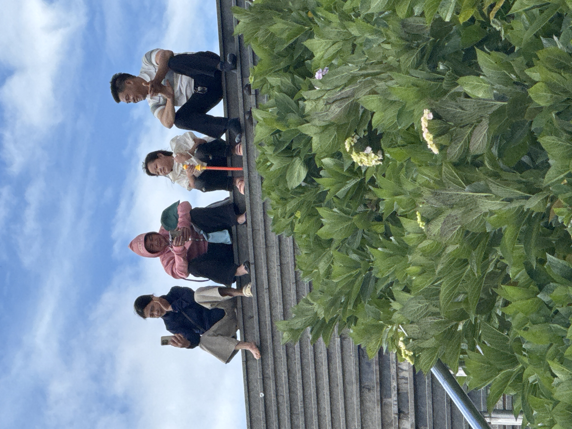 Morning crowd at Da Lat Flower Garden, Vietnam