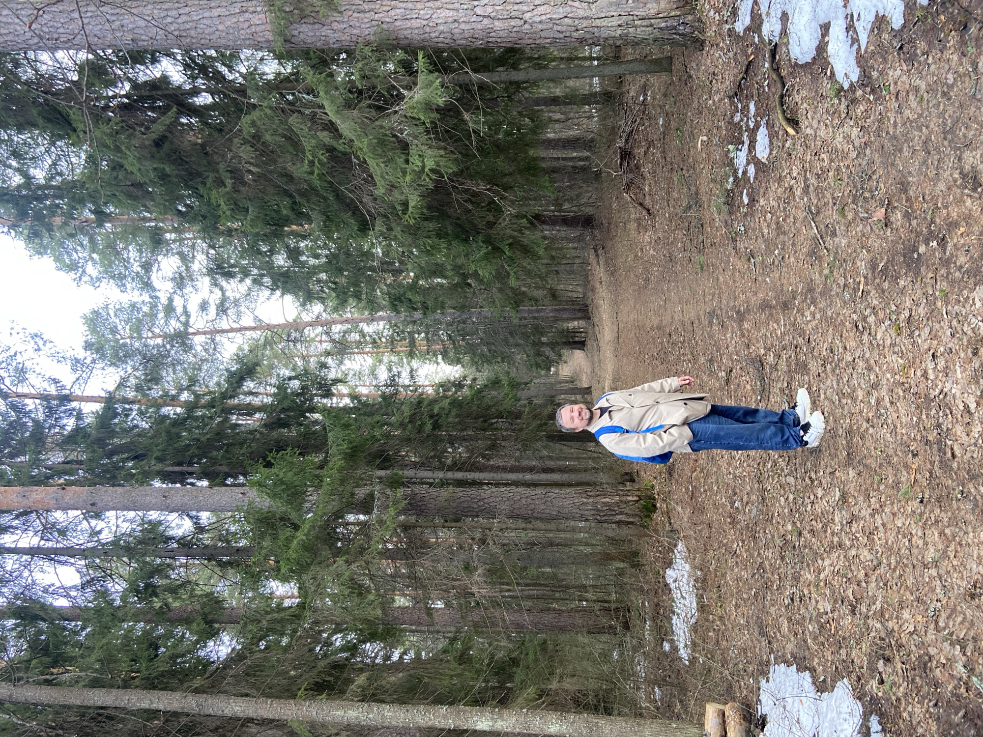 Man walks forest path in Noviy, Russia