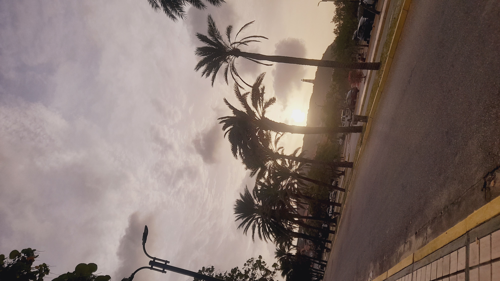 Sunset documented along palm-lined road in Pedro González, Venezuela